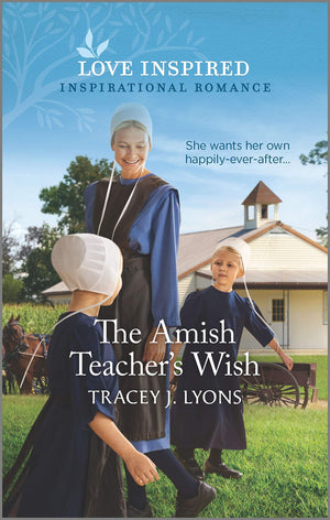 The Amish Teacher's Wish (Love Inspired),Used