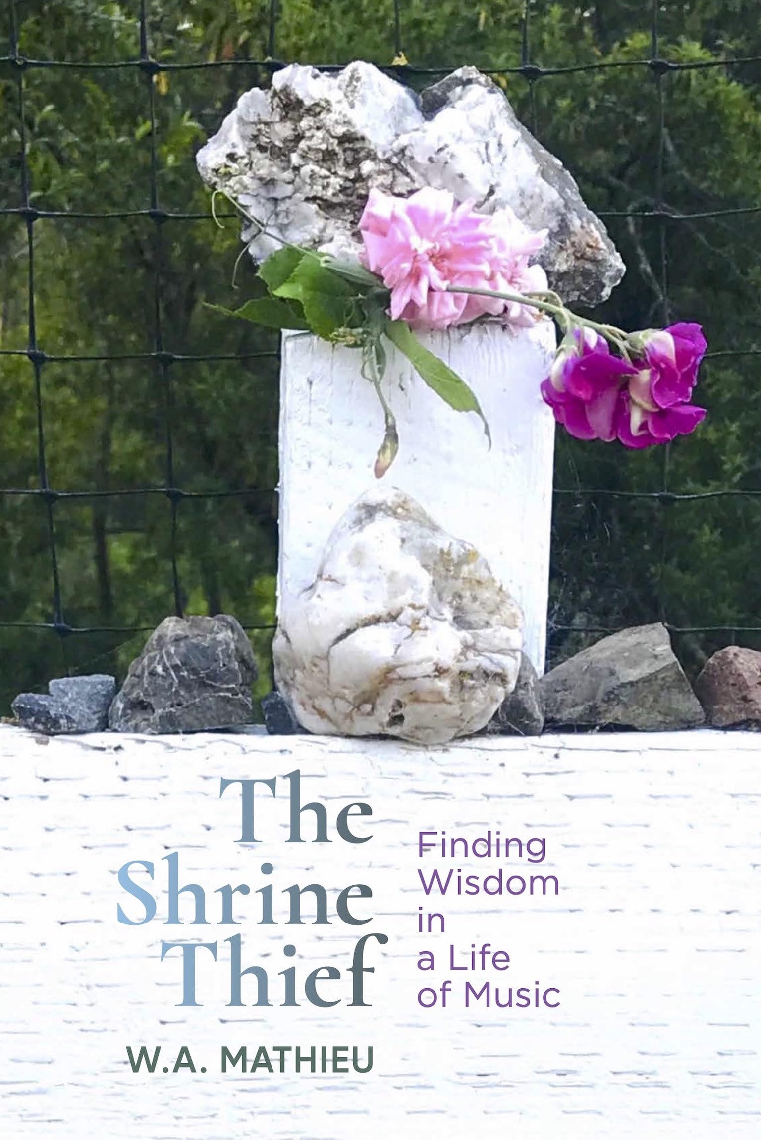 The Shrine Thief,New