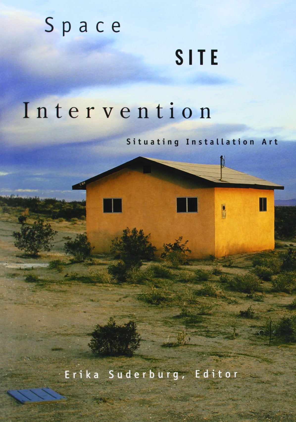 Space, Site, Intervention: Situating Installation Art,Used