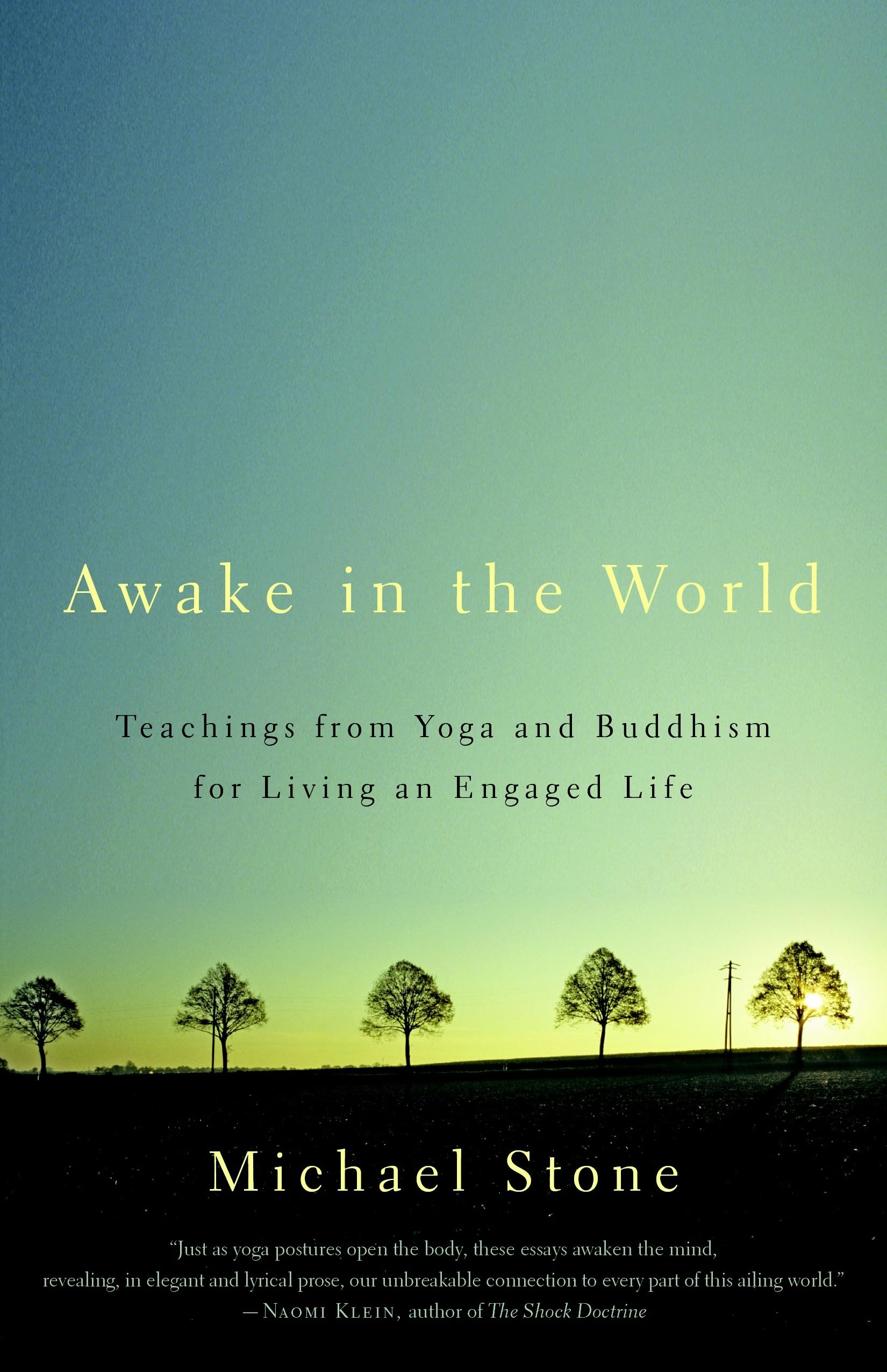 Awake in the World: Teachings from Yoga and Buddhism for Living an Engaged Life,Used