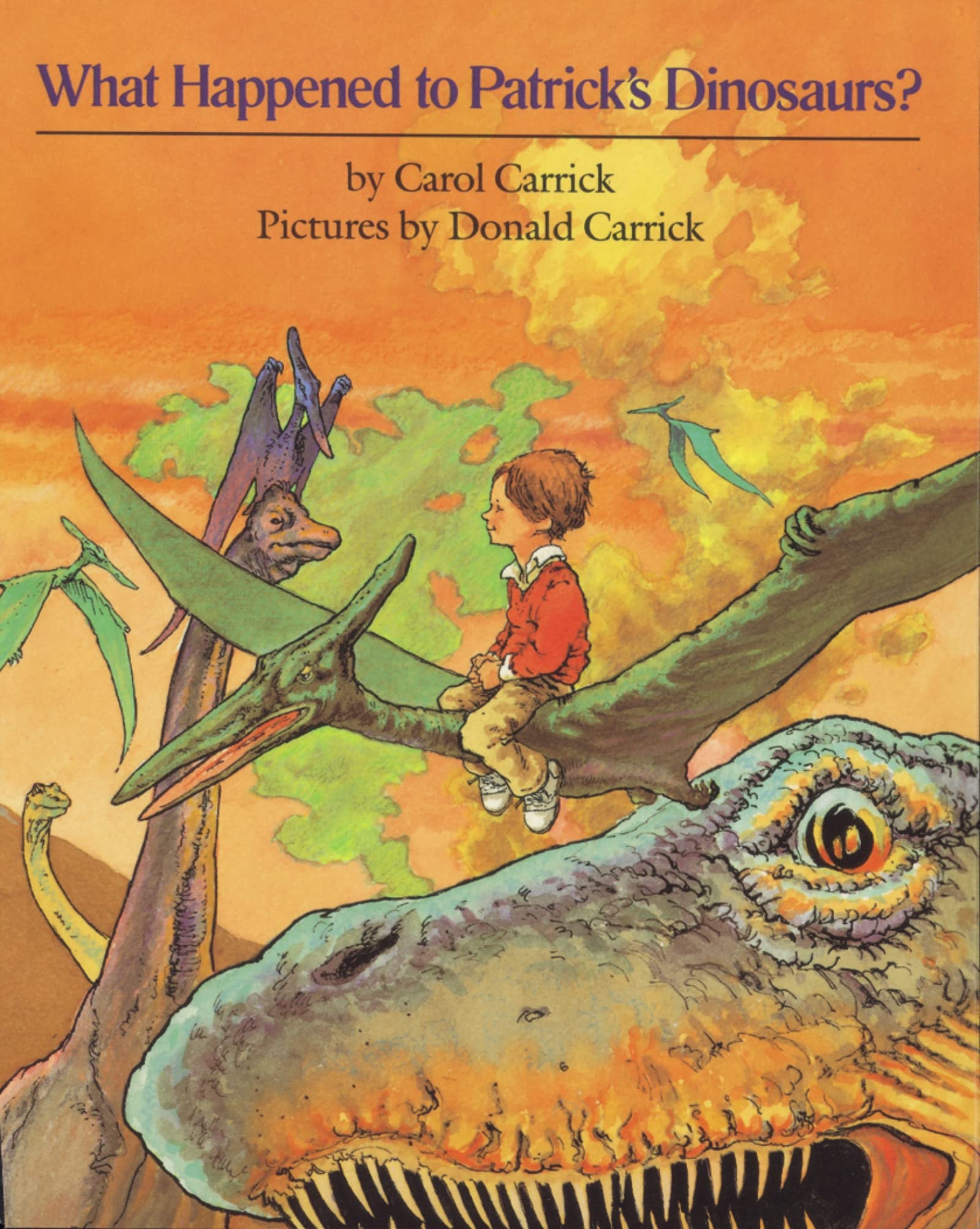 What Happened to Patrick's Dinosaurs?,Used