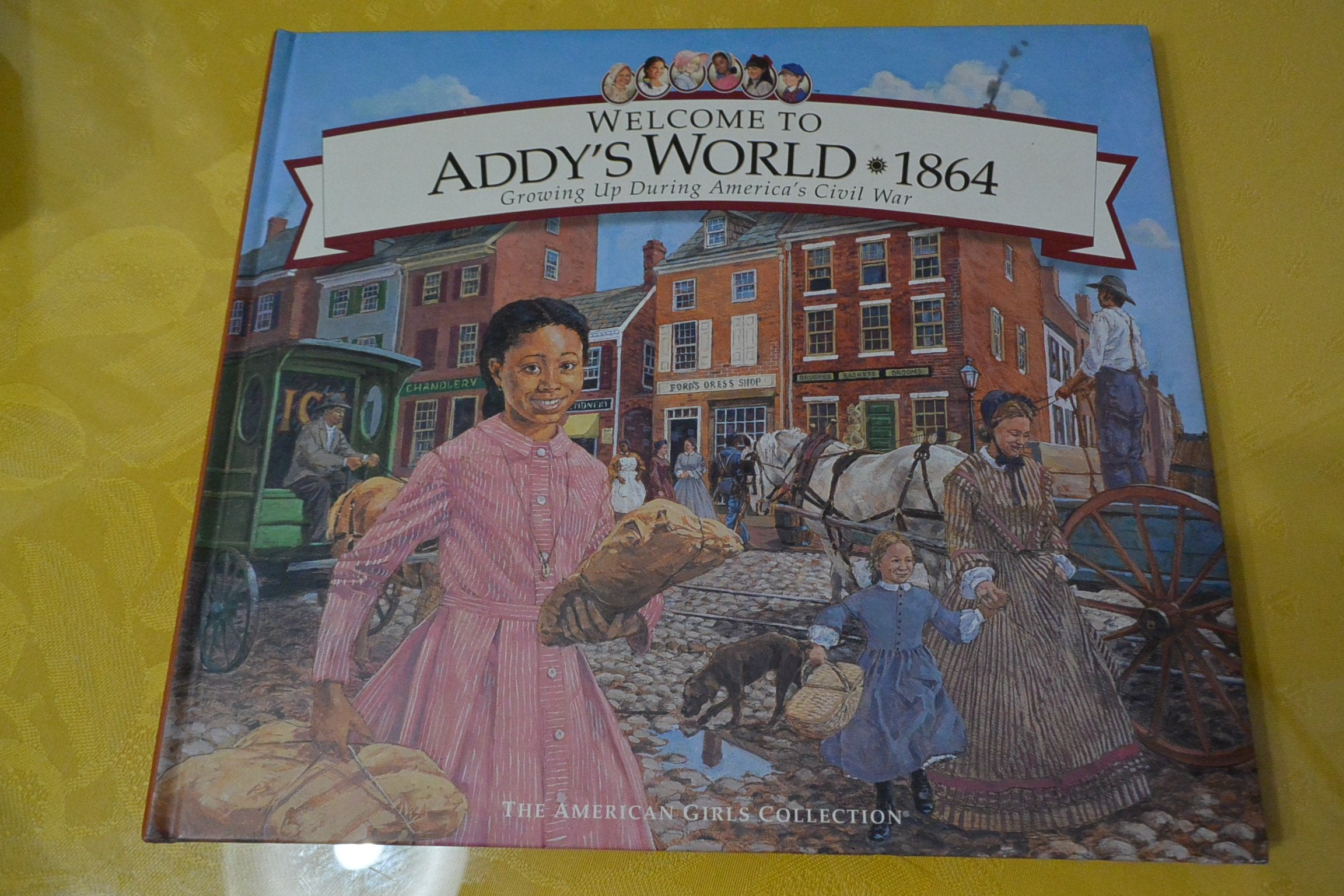 Welcome to Addys World, 1864: Growing Up During Americas Civil War (American Girl Collection),Used