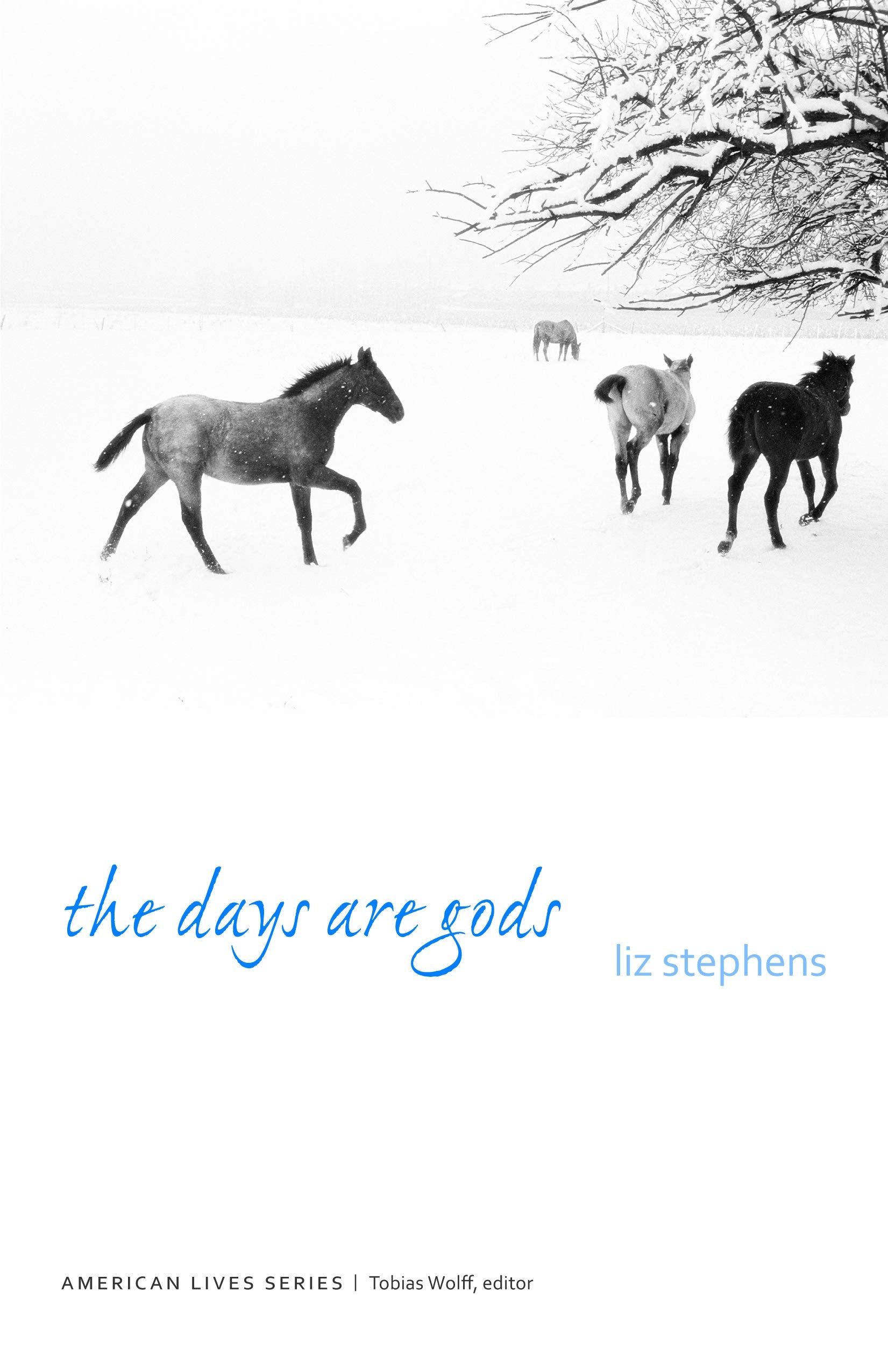 The Days Are Gods (American Lives),Used