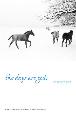 The Days Are Gods (American Lives),Used