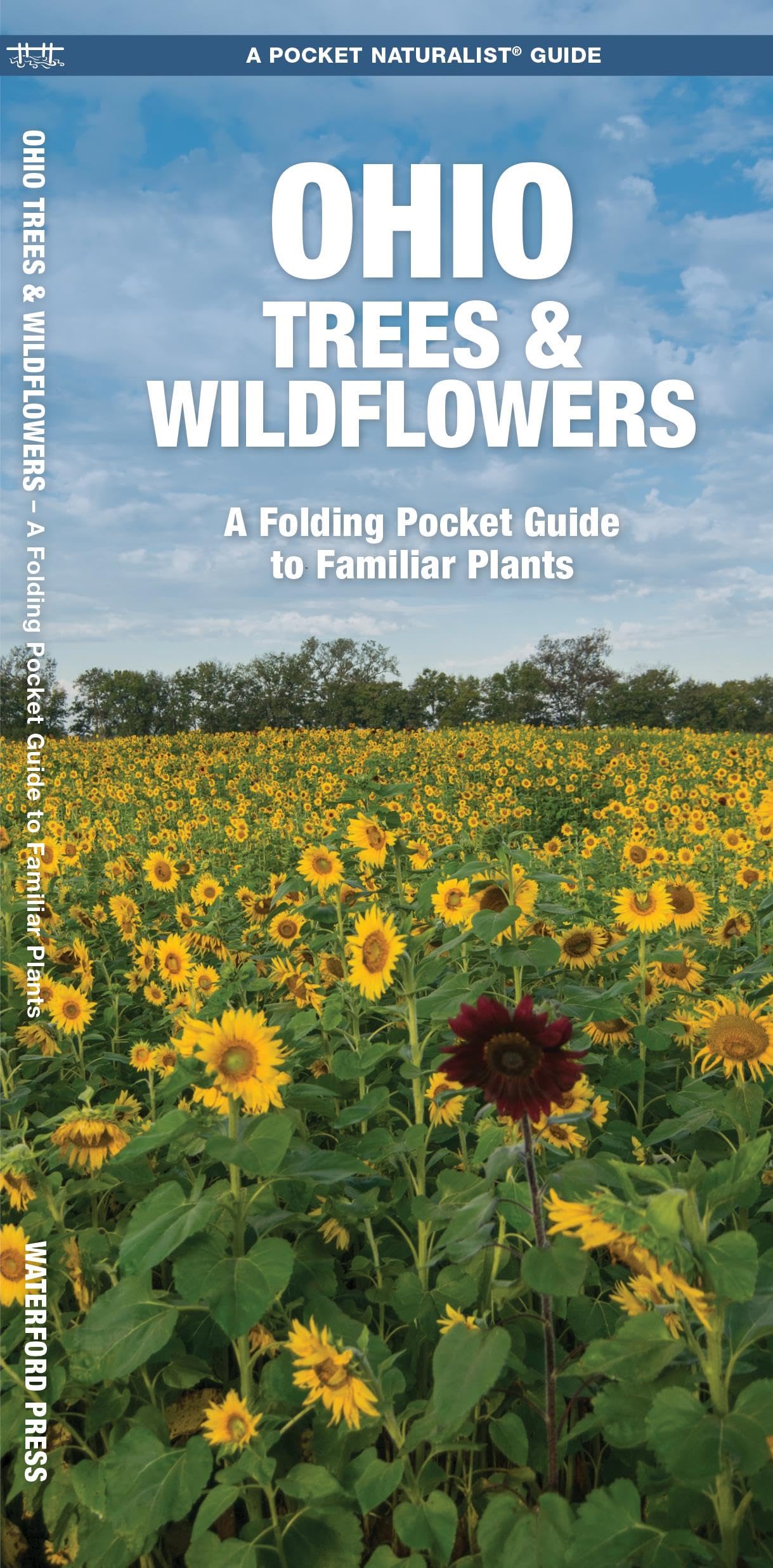 Ohio Trees & Wildflowers: A Folding Pocket Guide to Familiar Plants (Wildlife and Nature Identification),Used