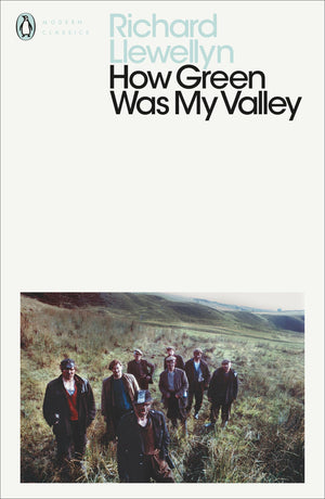 Modern Classics How Green Was My Valley (Penguin Modern Classics),Used
