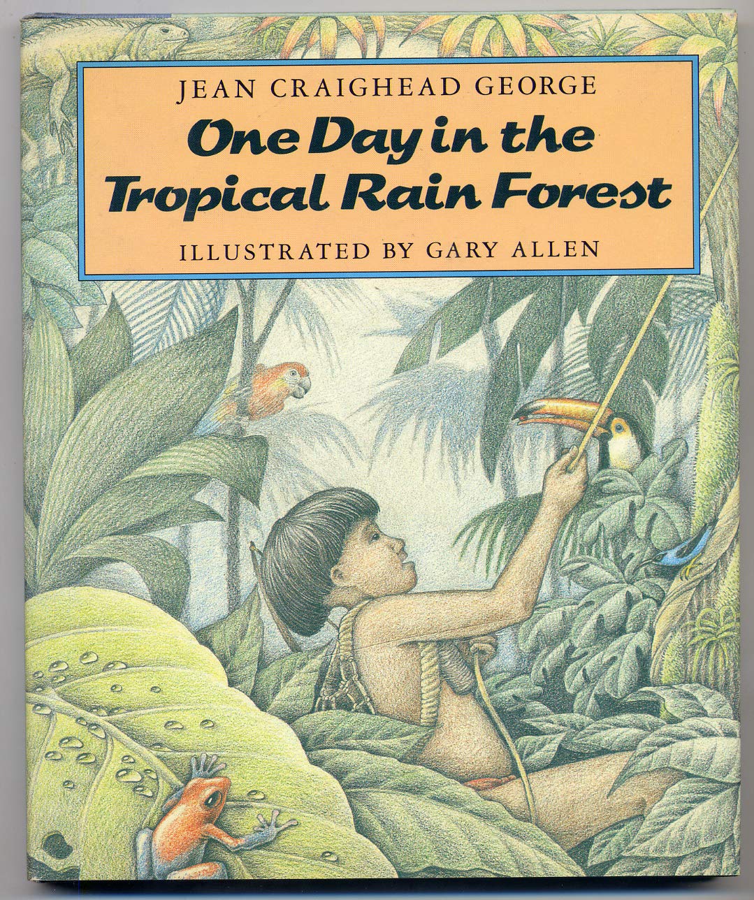 One Day in the Tropical Rain Forest (Newbery Medal Winner Series, No 5),Used