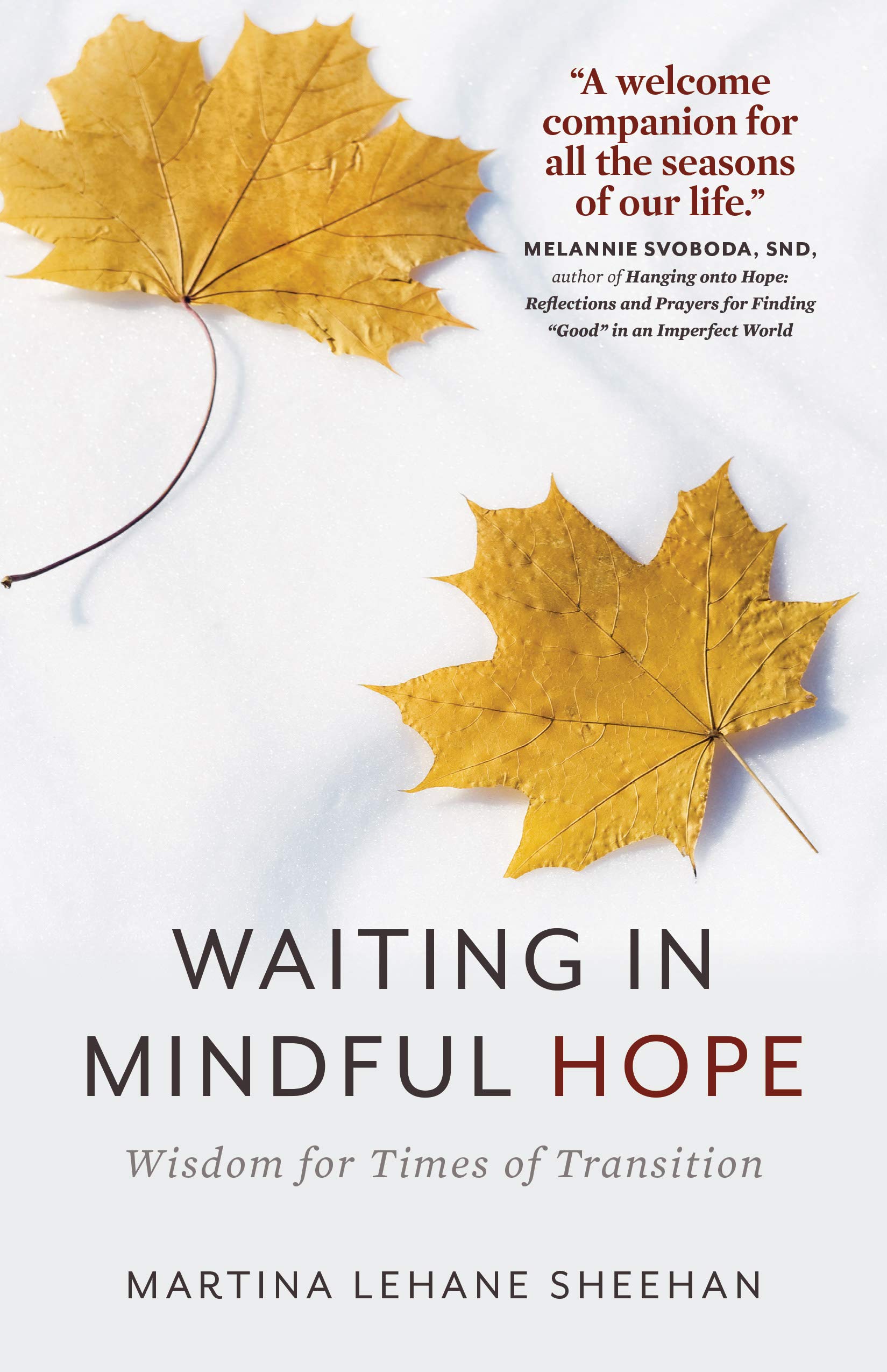 Waiting in Mindful Hope: Wisdom for Times of Transition,Used