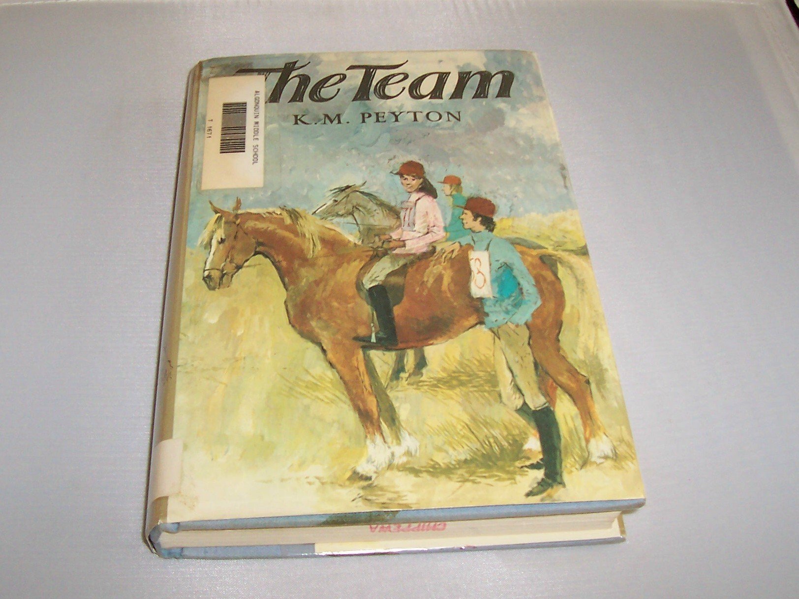 The Team (Horse Story For Teens)