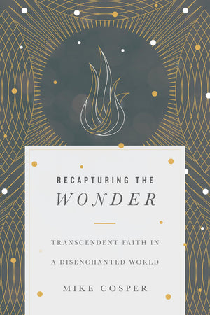 Recapturing the Wonder: Transcendent Faith in a Disenchanted World,Used