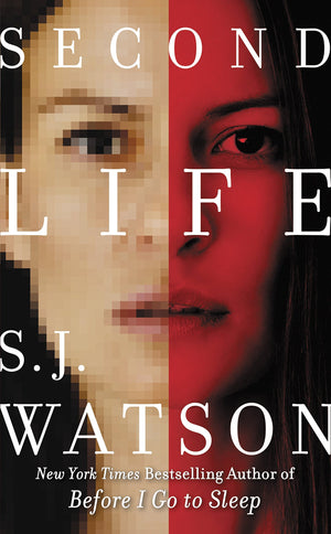 Second Life: A Novel,Used