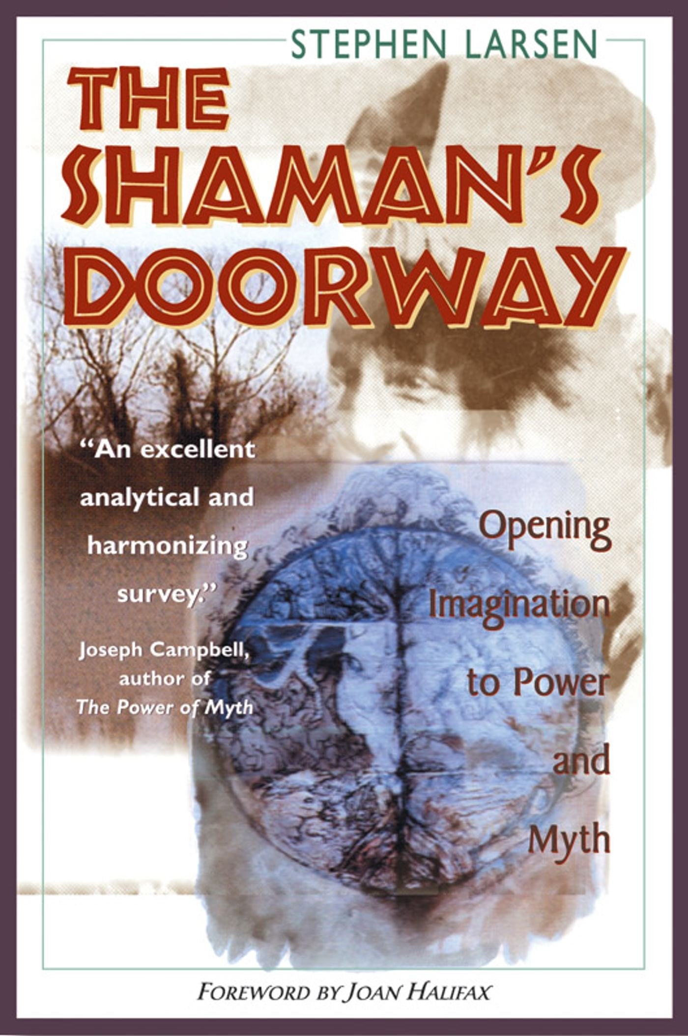 The Shaman's Doorway: Opening Imagination to Power and Myth,Used