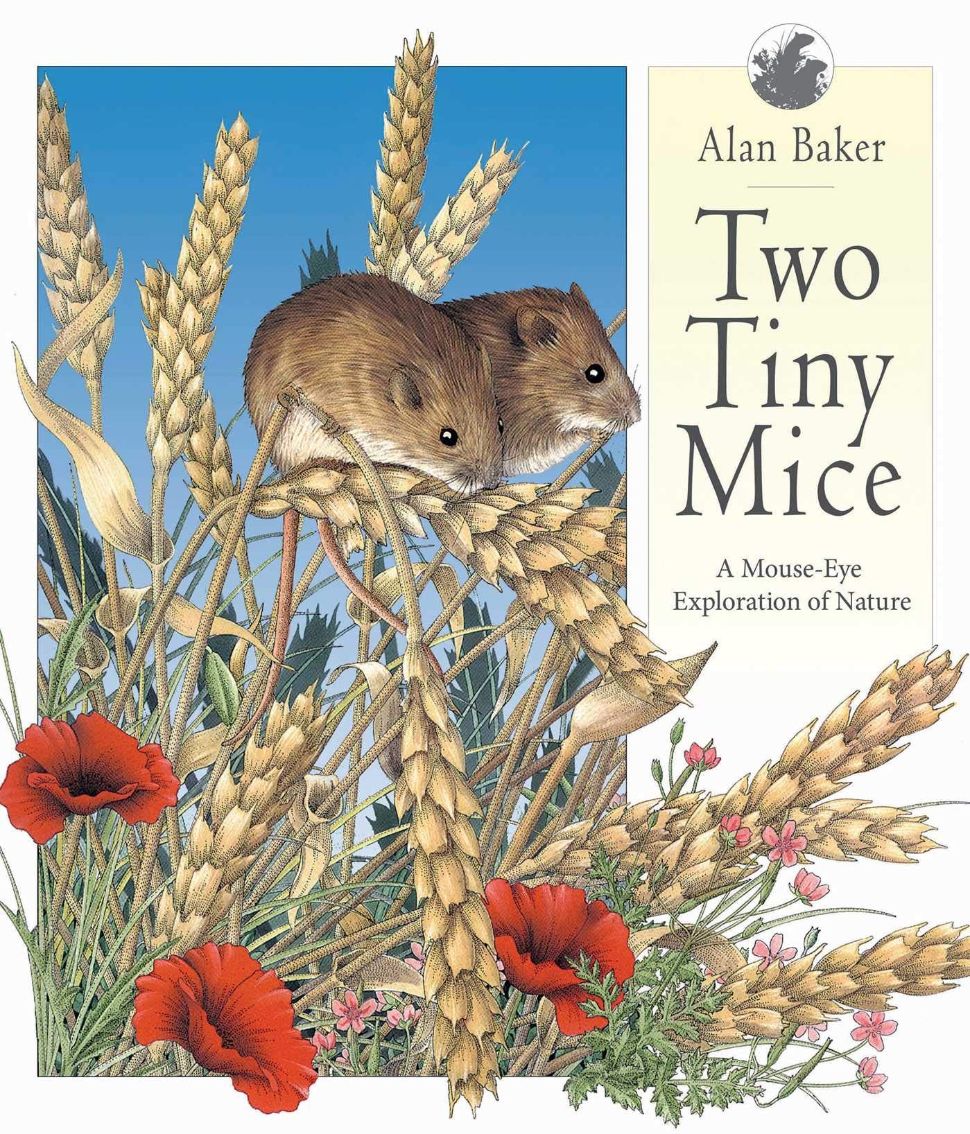 Two Tiny Mice: A MouseEye Exploration of Nature,Used