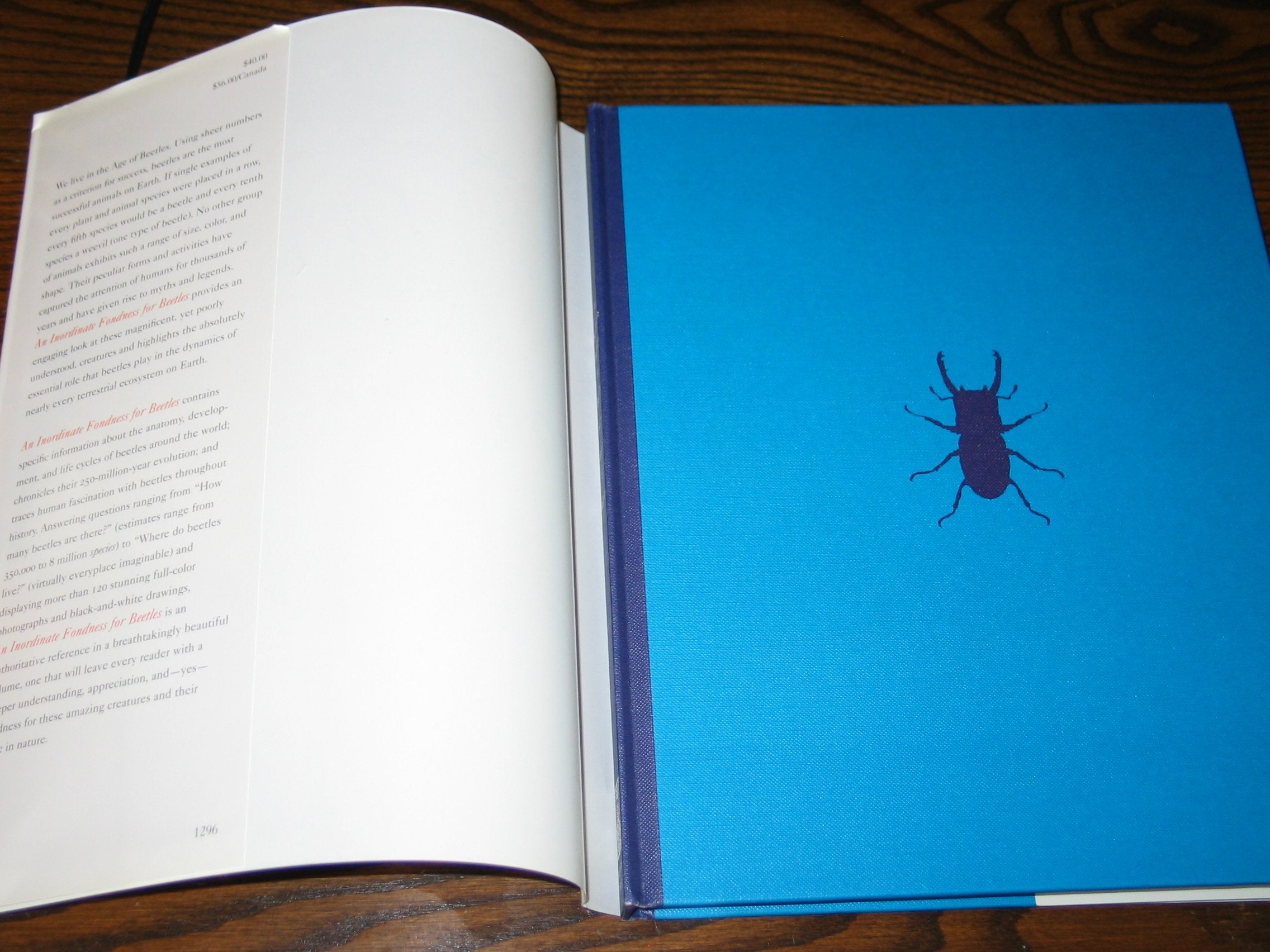 An Inordinate Fondness For Beetles (Henry Holt Reference Book),New