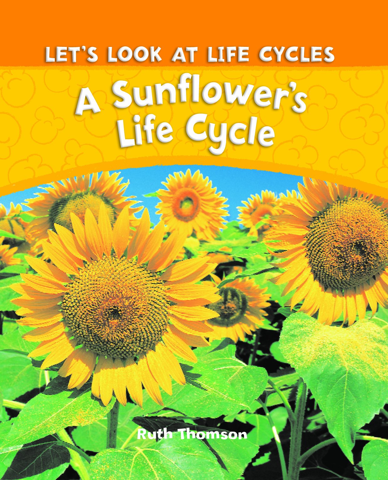 A Sunflower's Life Cycle (Let's Look at Life Cycles),Used