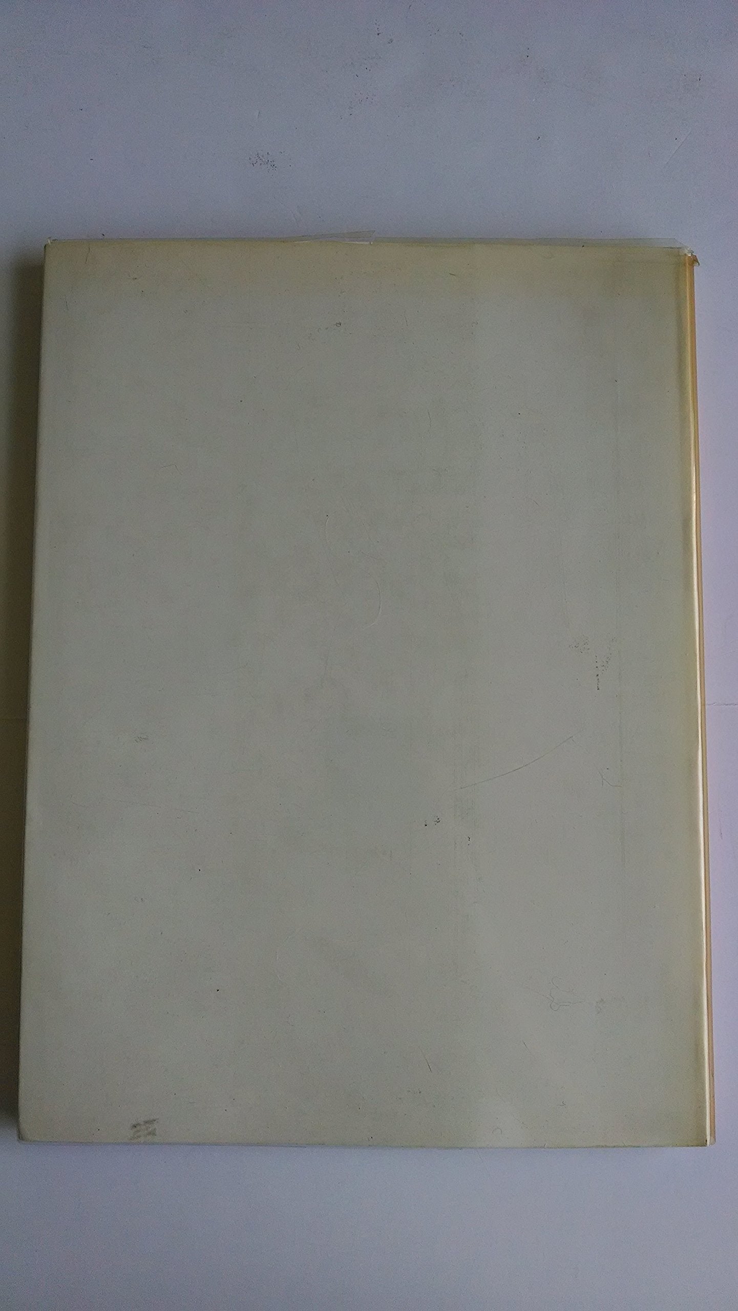 Brancusi photographe (French Edition),Used