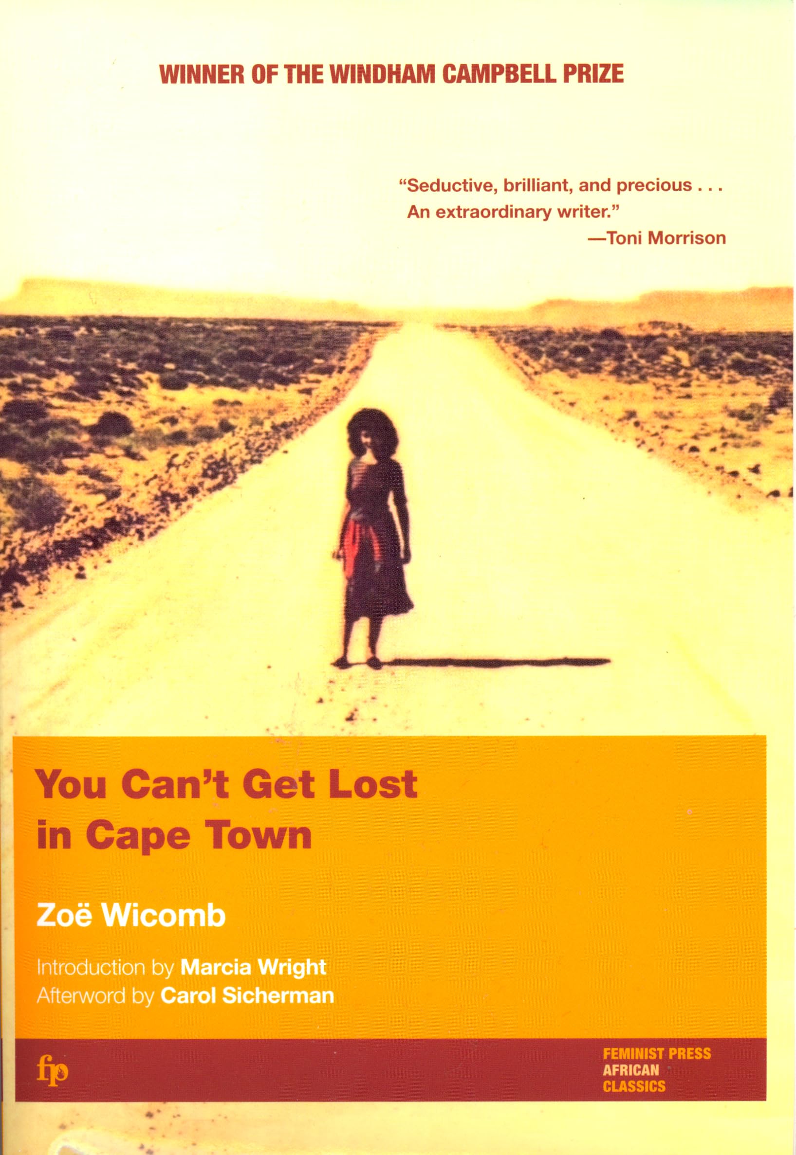 You Can't Get Lost in Cape Town (Women Writing Africa),Used