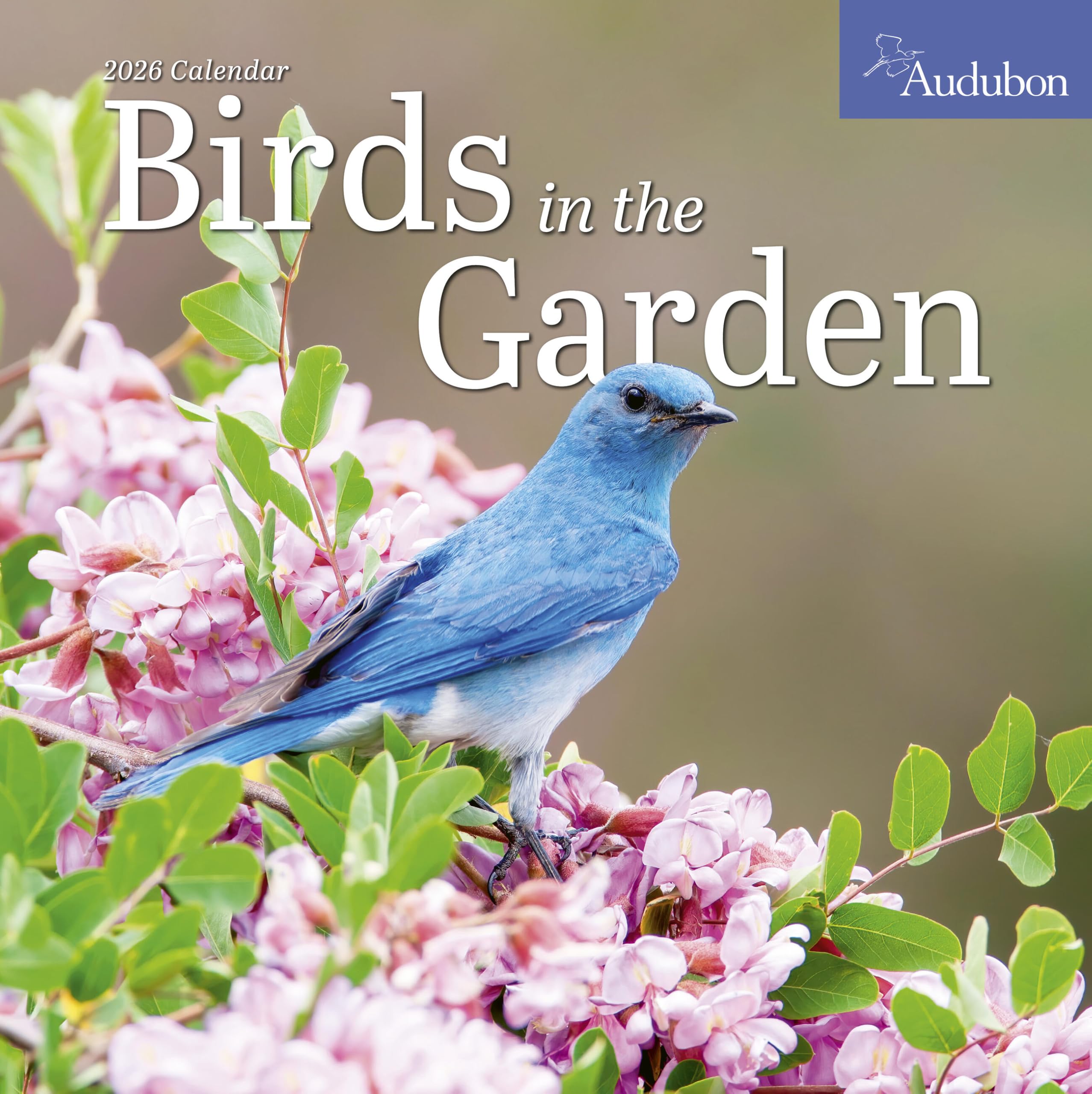 Audubon Birds In The Garden Wall Calendar 2026: Use Native Plants To Attract Birds And Pollinators To Your Backyard