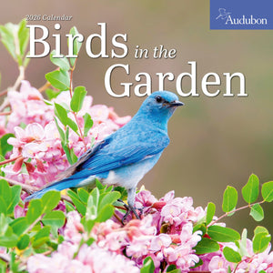 Audubon Birds In The Garden Wall Calendar 2026: Use Native Plants To Attract Birds And Pollinators To Your Backyard