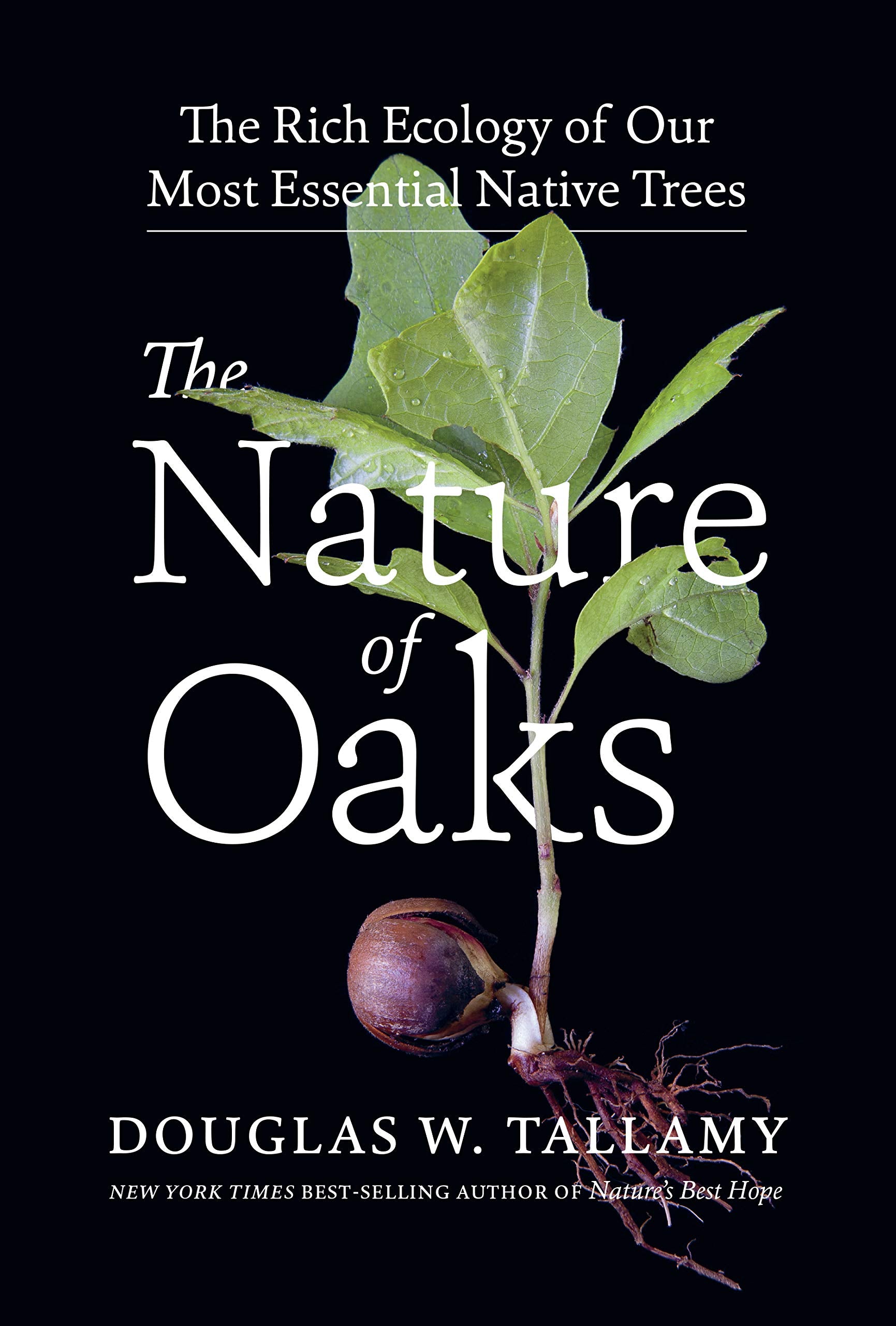 The Nature of Oaks: The Rich Ecology of Our Most Essential Native Trees,New