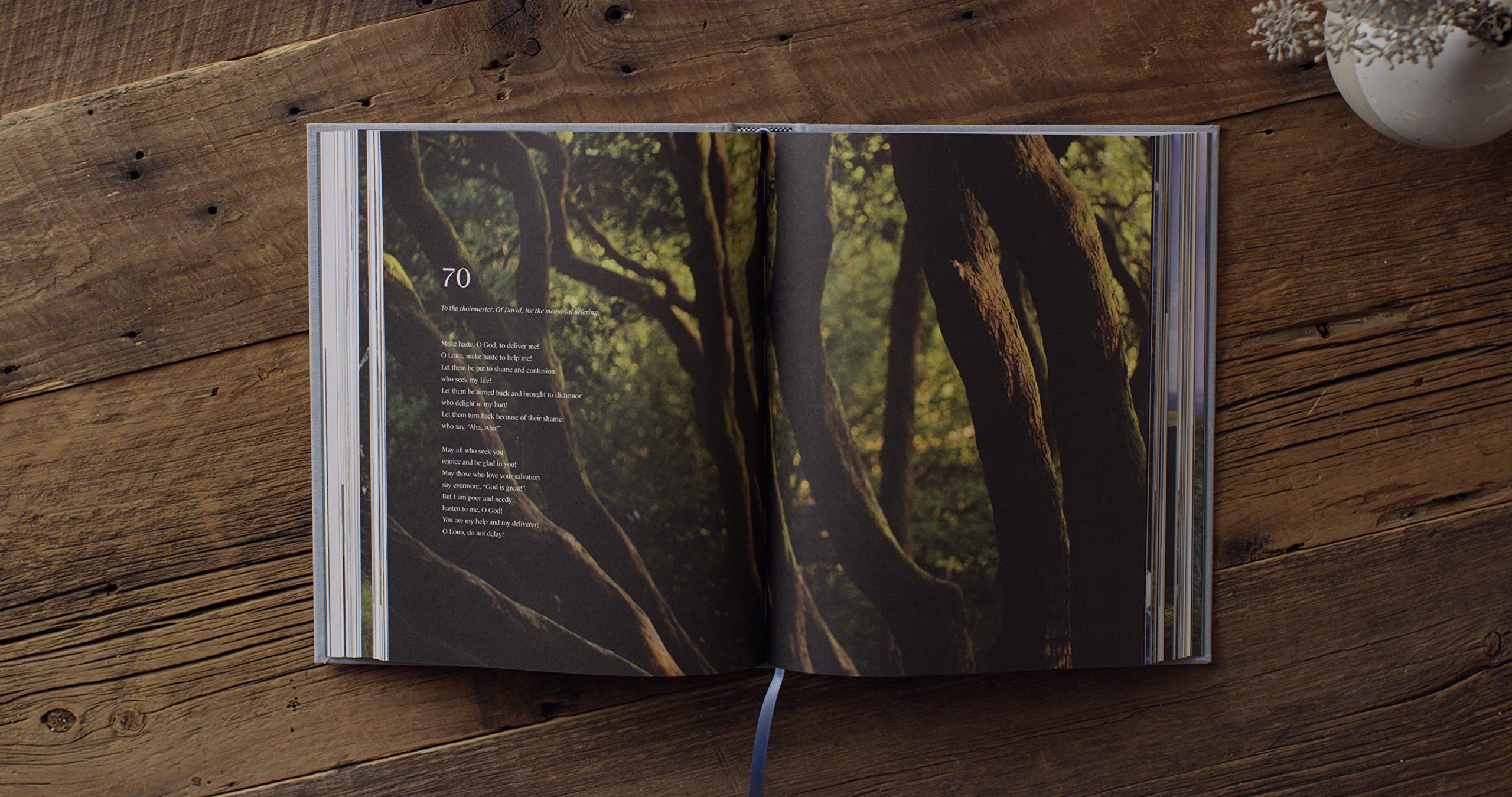 ESV Psalms, Photography Edition,Used
