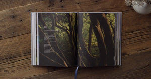 ESV Psalms, Photography Edition,Used