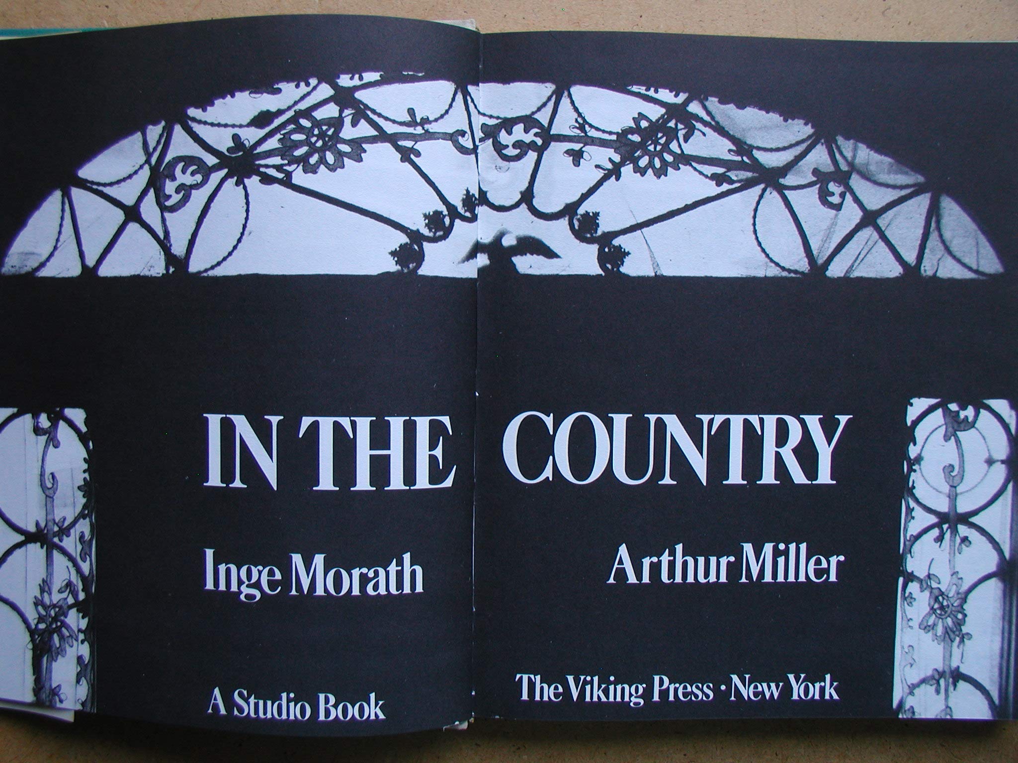 In the Country: 2 (A Studio book)