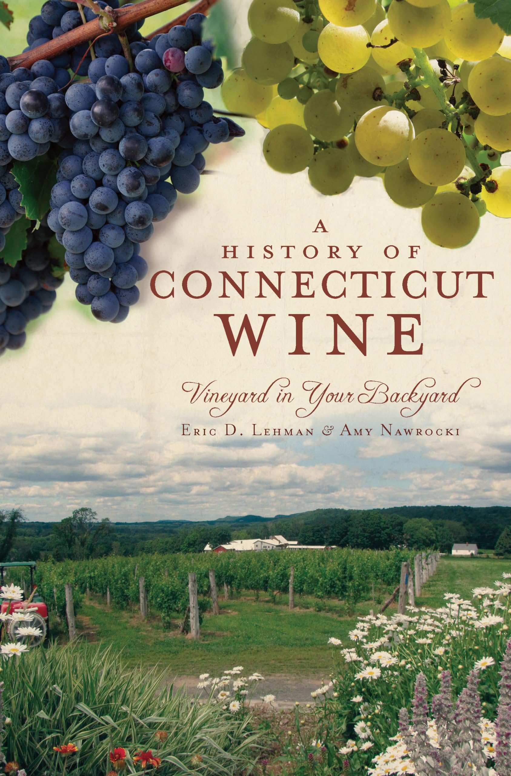 A History Of Connecticut Wine: Vineyard In Your Backyard (American Palate),Used