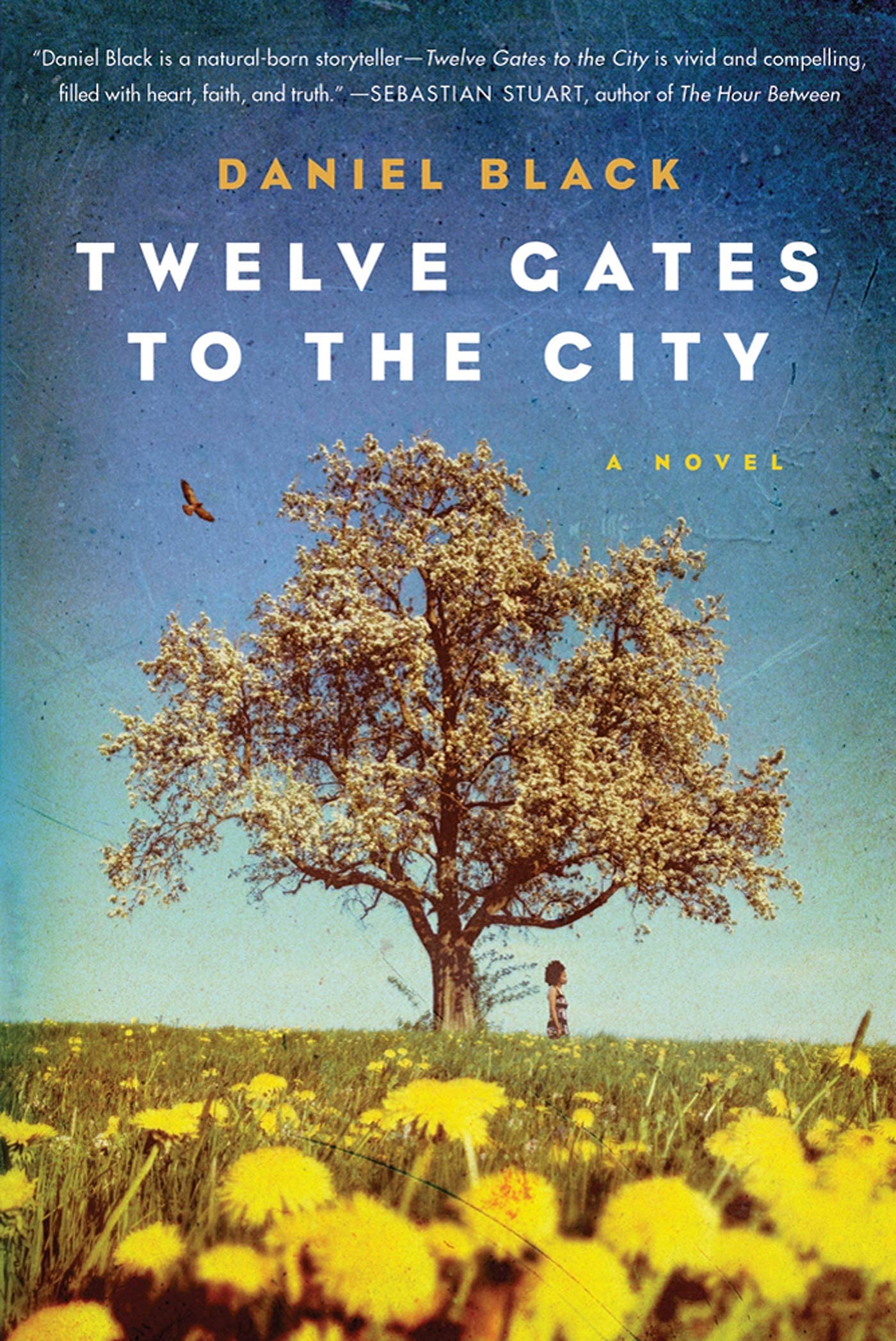 Twelve Gates to the City: A Novel (Tommy Lee Tyson, 2),Used