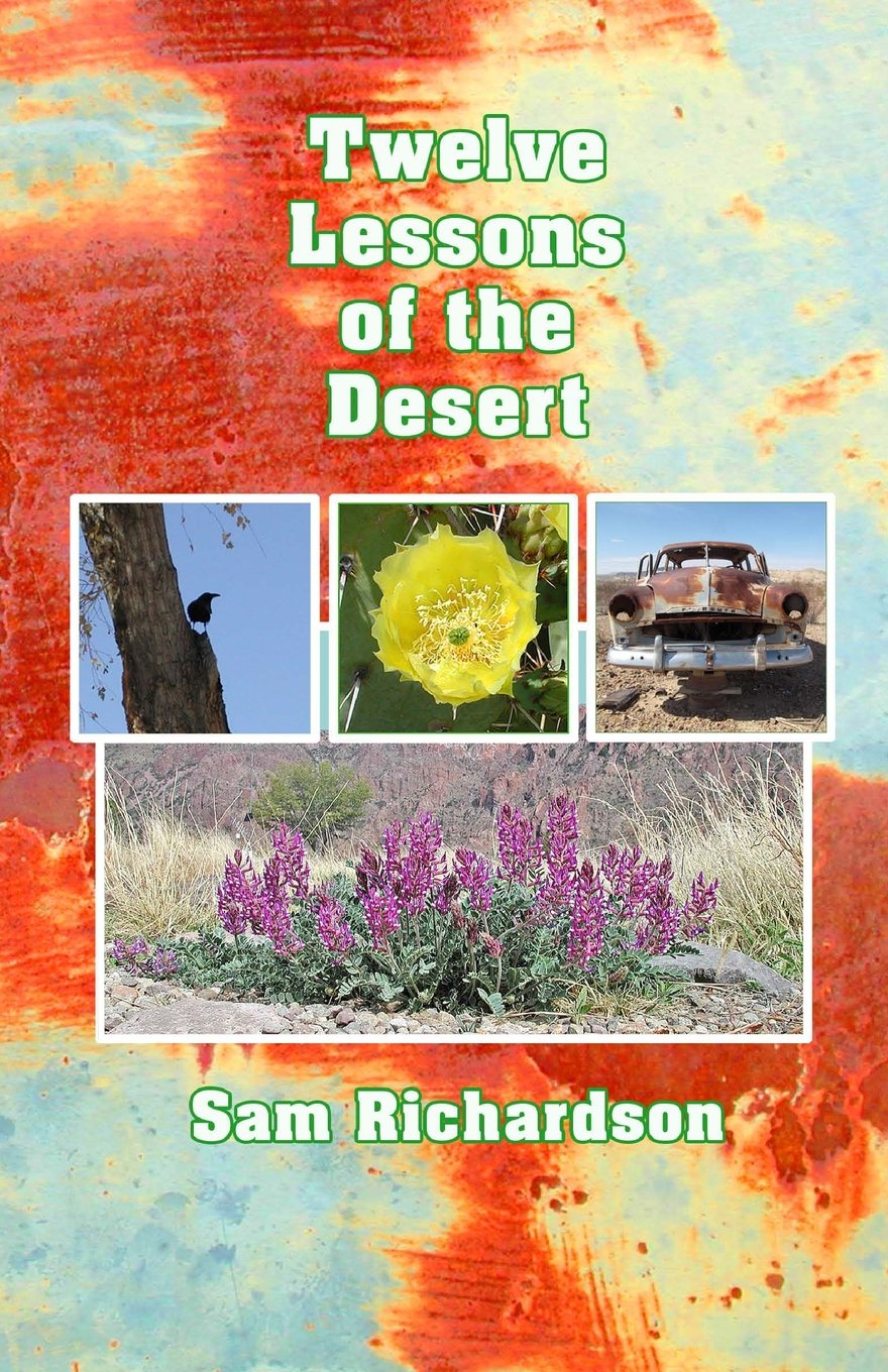 Twelve Lessons of the Desert,Used
