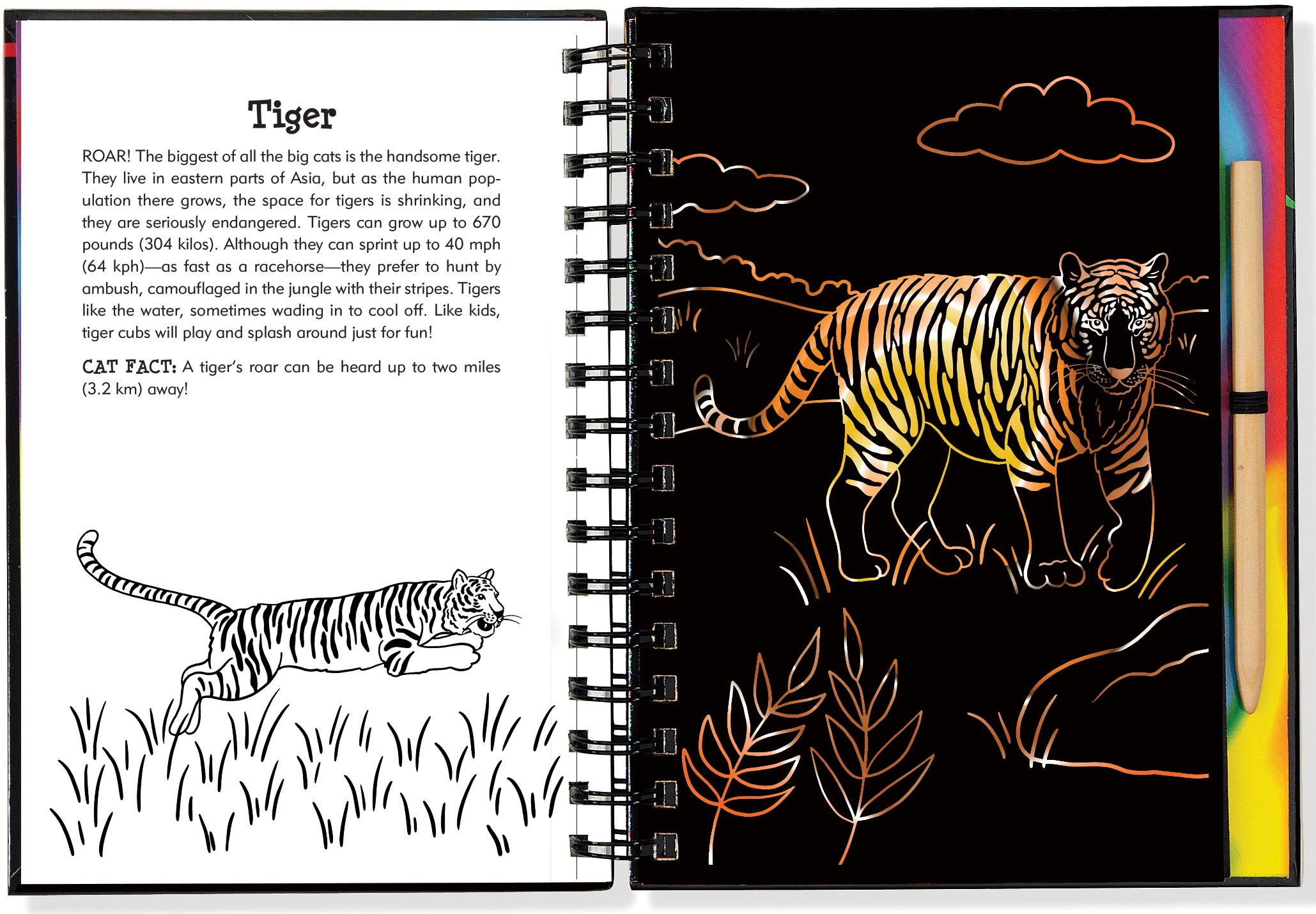 Scratch & Sketch Wild Cats (Trace Along),Used