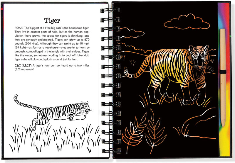 Scratch & Sketch Wild Cats (Trace Along),Used