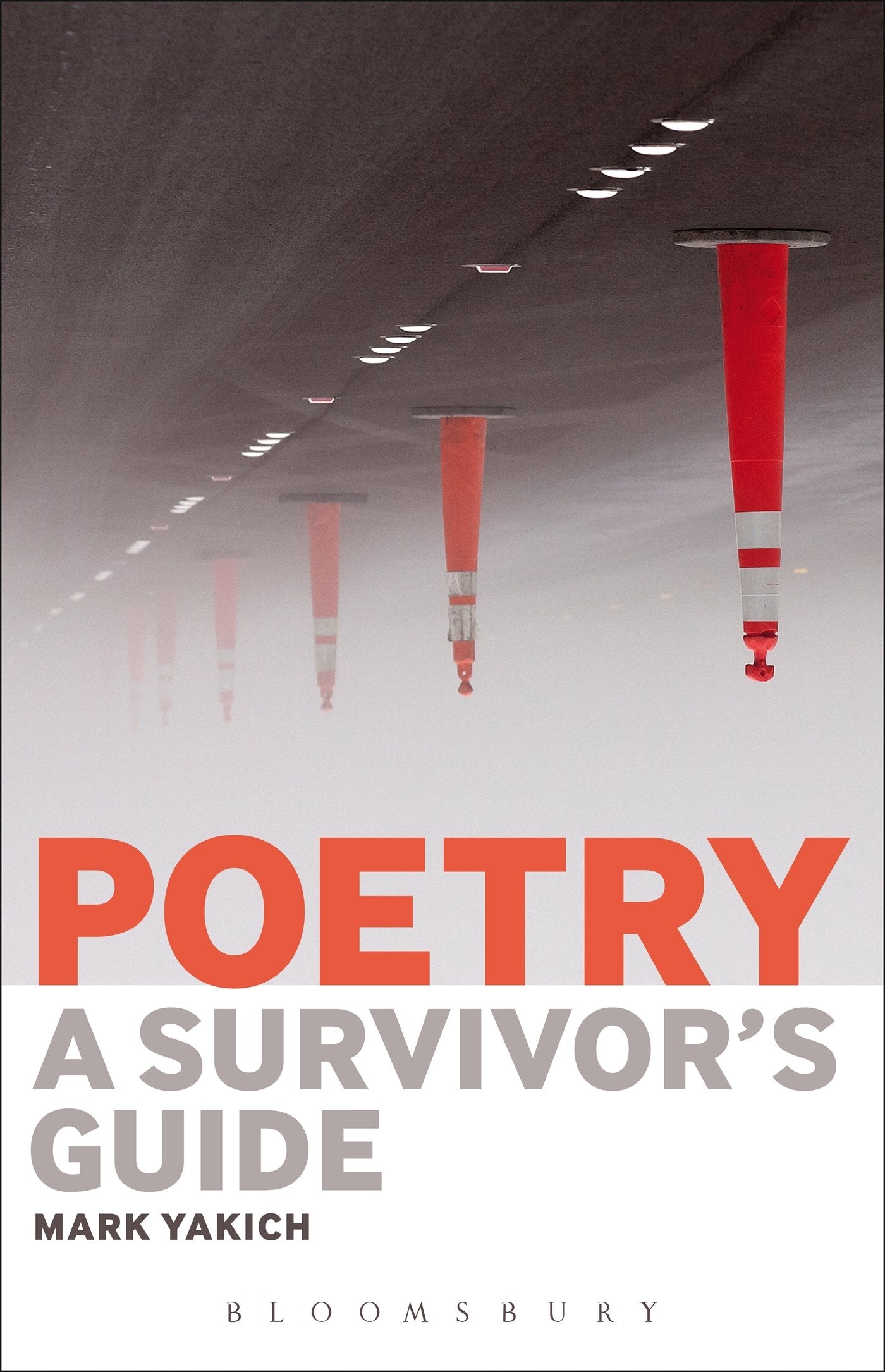Poetry: A Survivor's Guide,Used