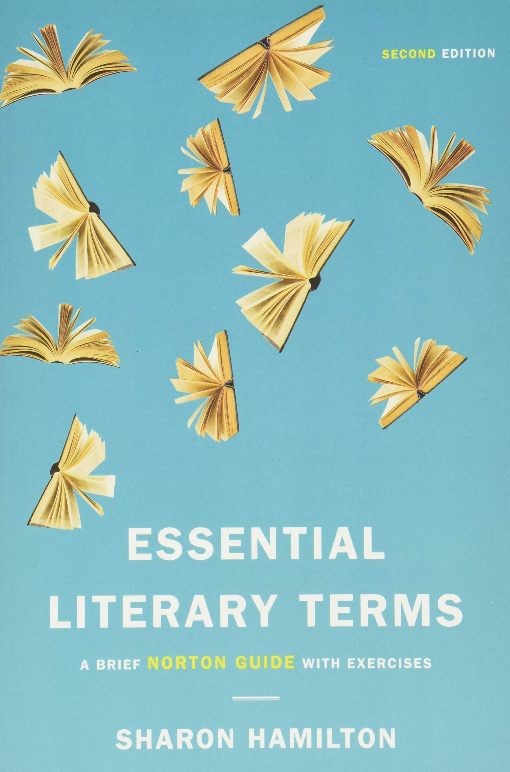 Essential Literary Terms: A Brief Norton Guide With Exercises,Used