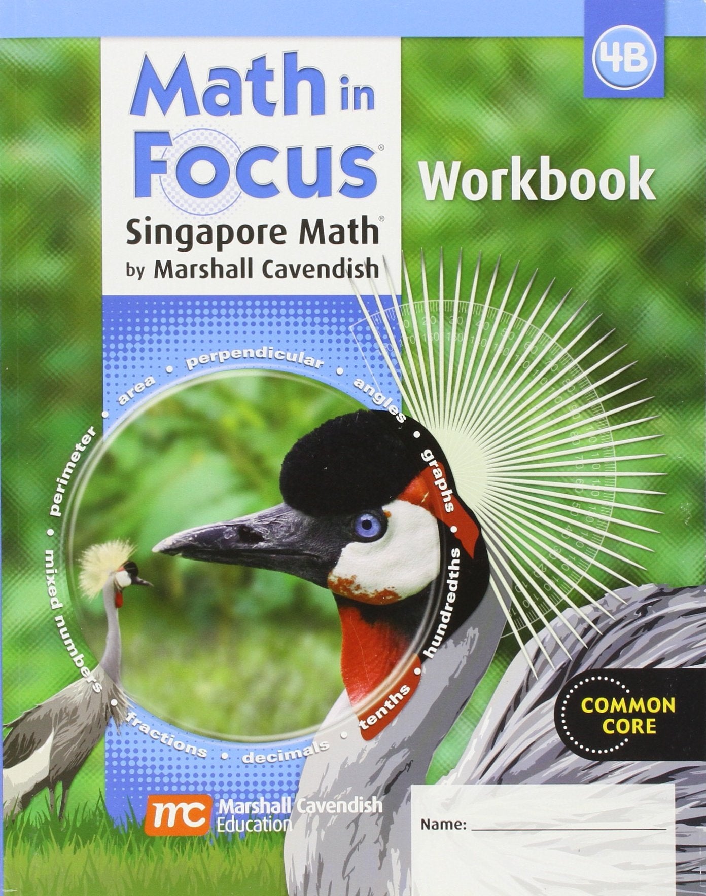 Math in Focus: The Singapore Approach, Workbook 4B,Used