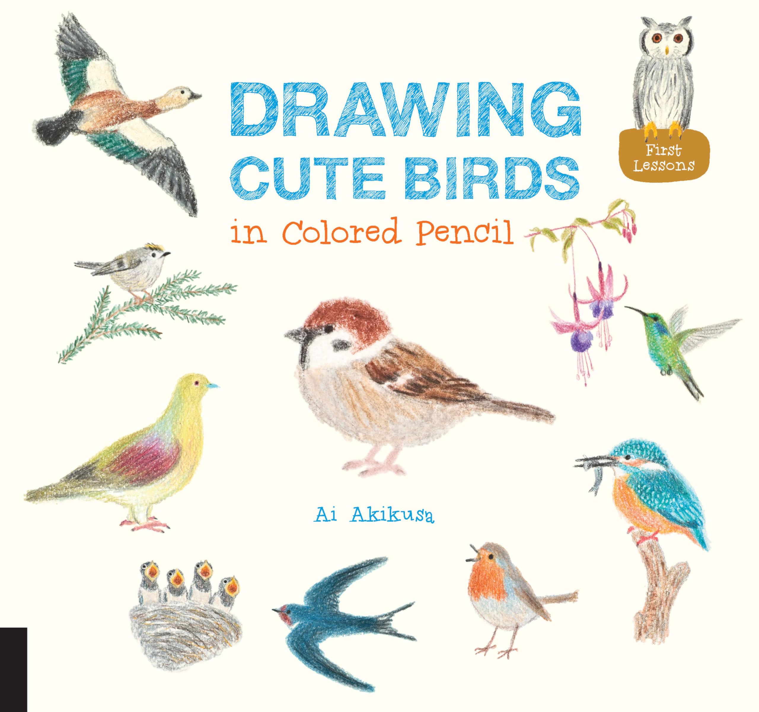 Drawing Cute Birds In Colored Pencil (Volume 2) (Drawing Cute, 2)