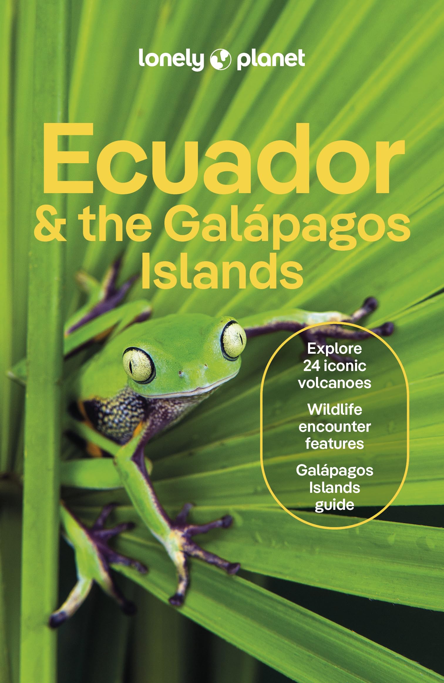 Lonely Planet Ecuador & the Galapagos Islands (Travel Guide),New