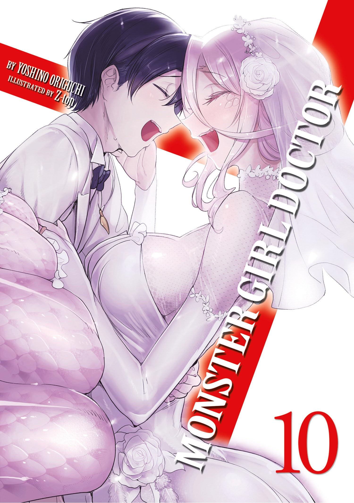 Monster Girl Doctor (Light Novel) Vol. 10,Used