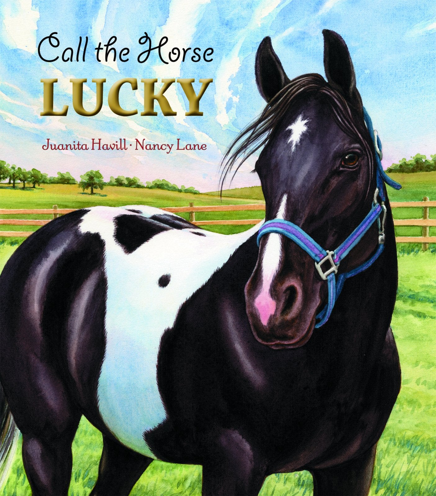 Call the Horse Lucky,Used