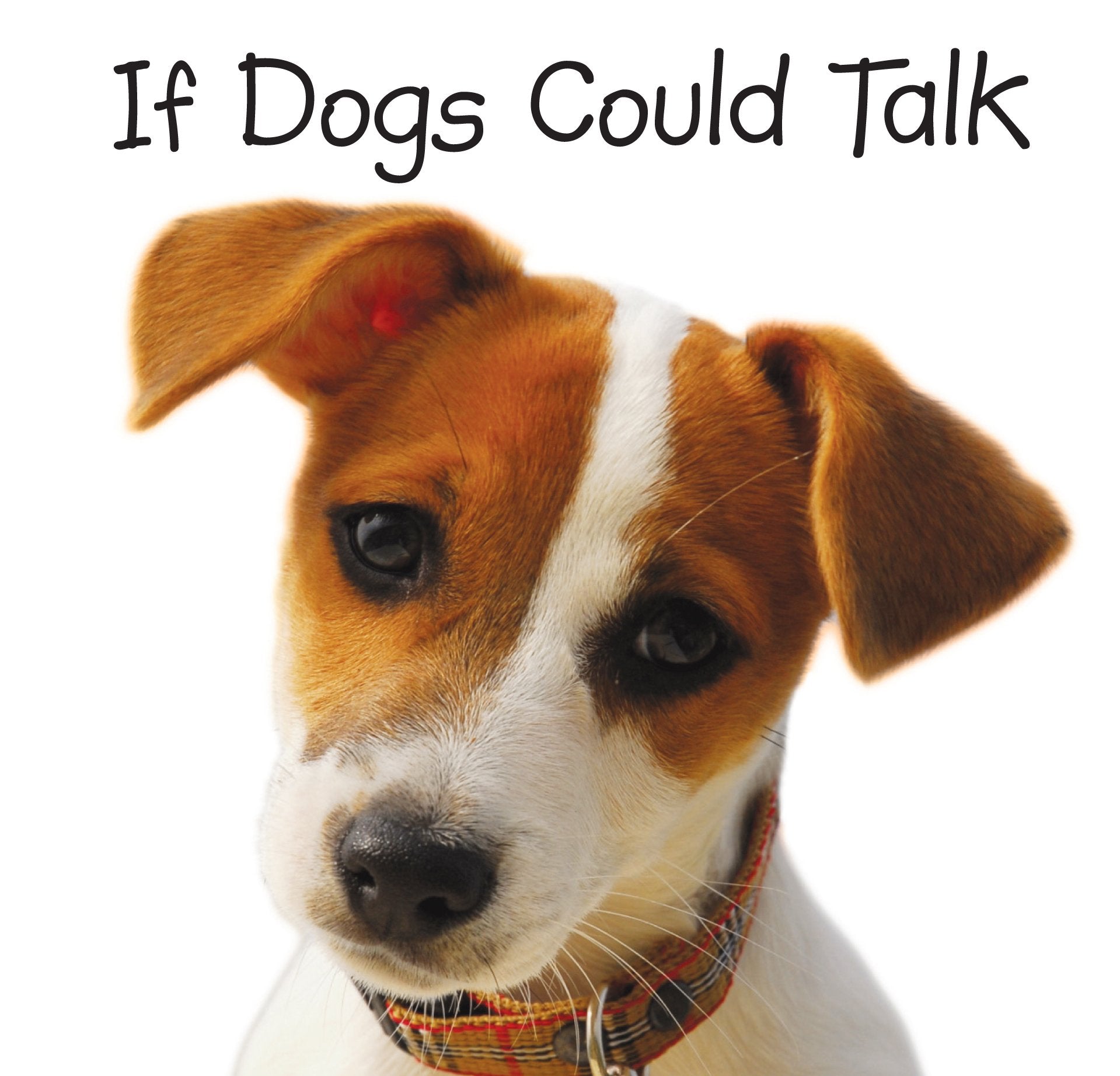 If Dogs Could Talk,Used
