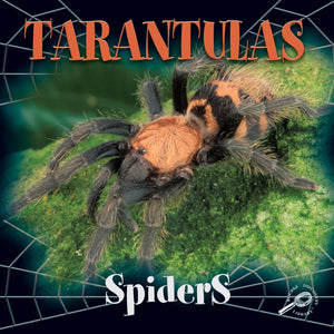 Tarantulas (Spiders Discovery),New