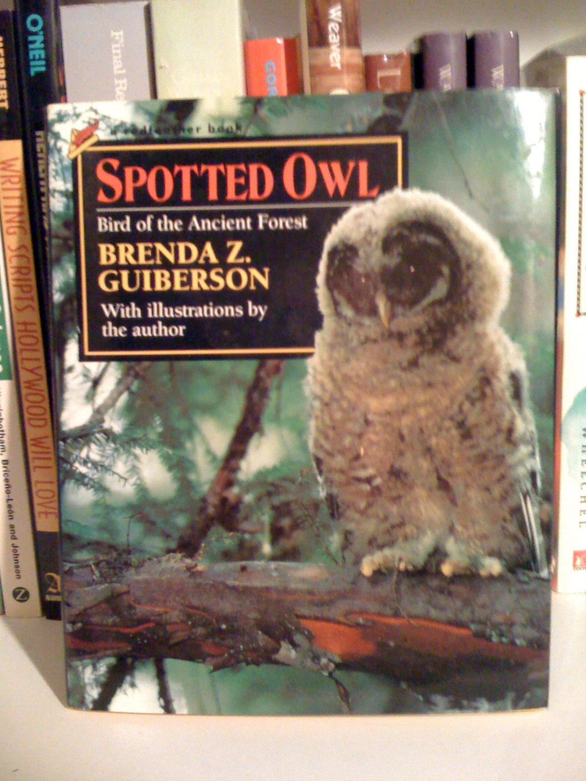 Spotted Owl: Bird of the Ancient Forest (Redfeather Books.),Used