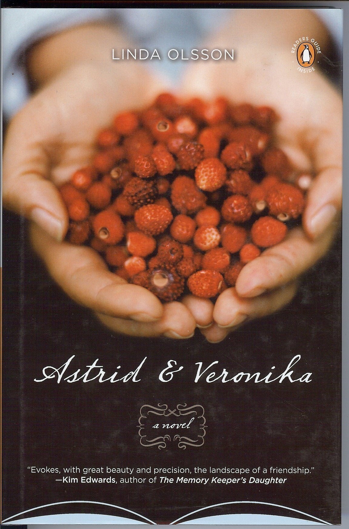 Astrid and Veronika : A Novel,Used
