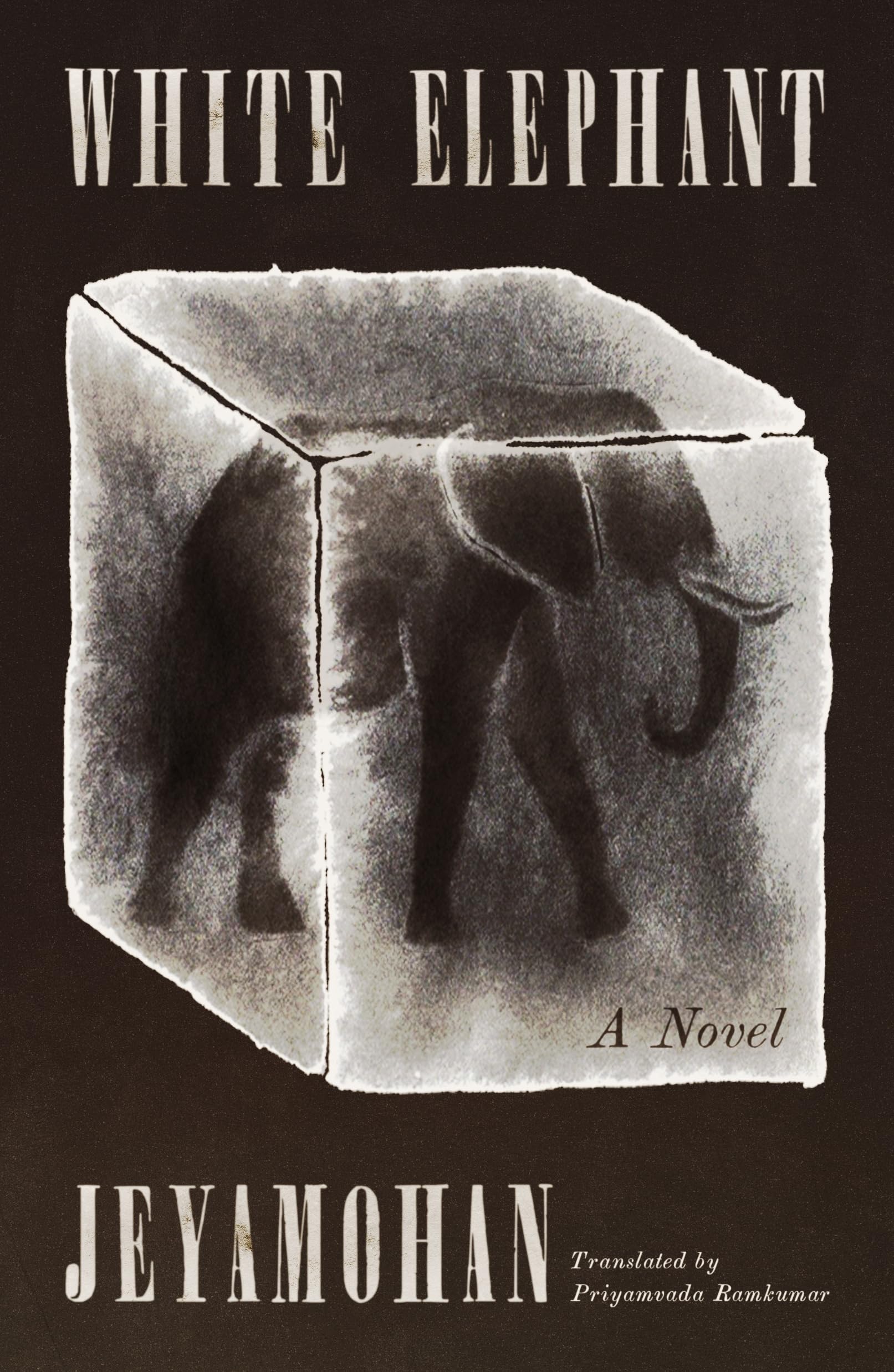 White Elephant: A Novel