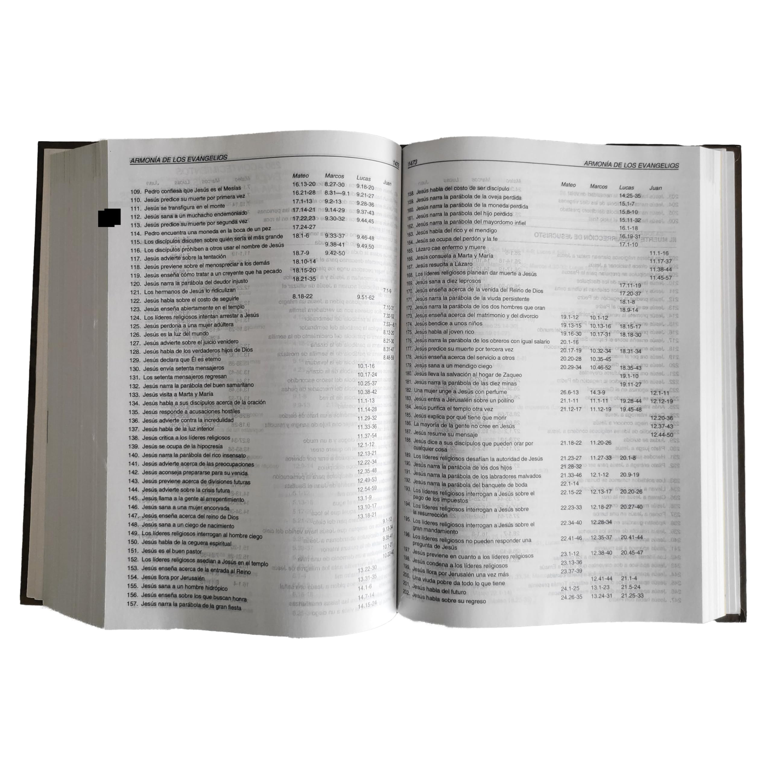 Biblia Del Diario Vivir,Used