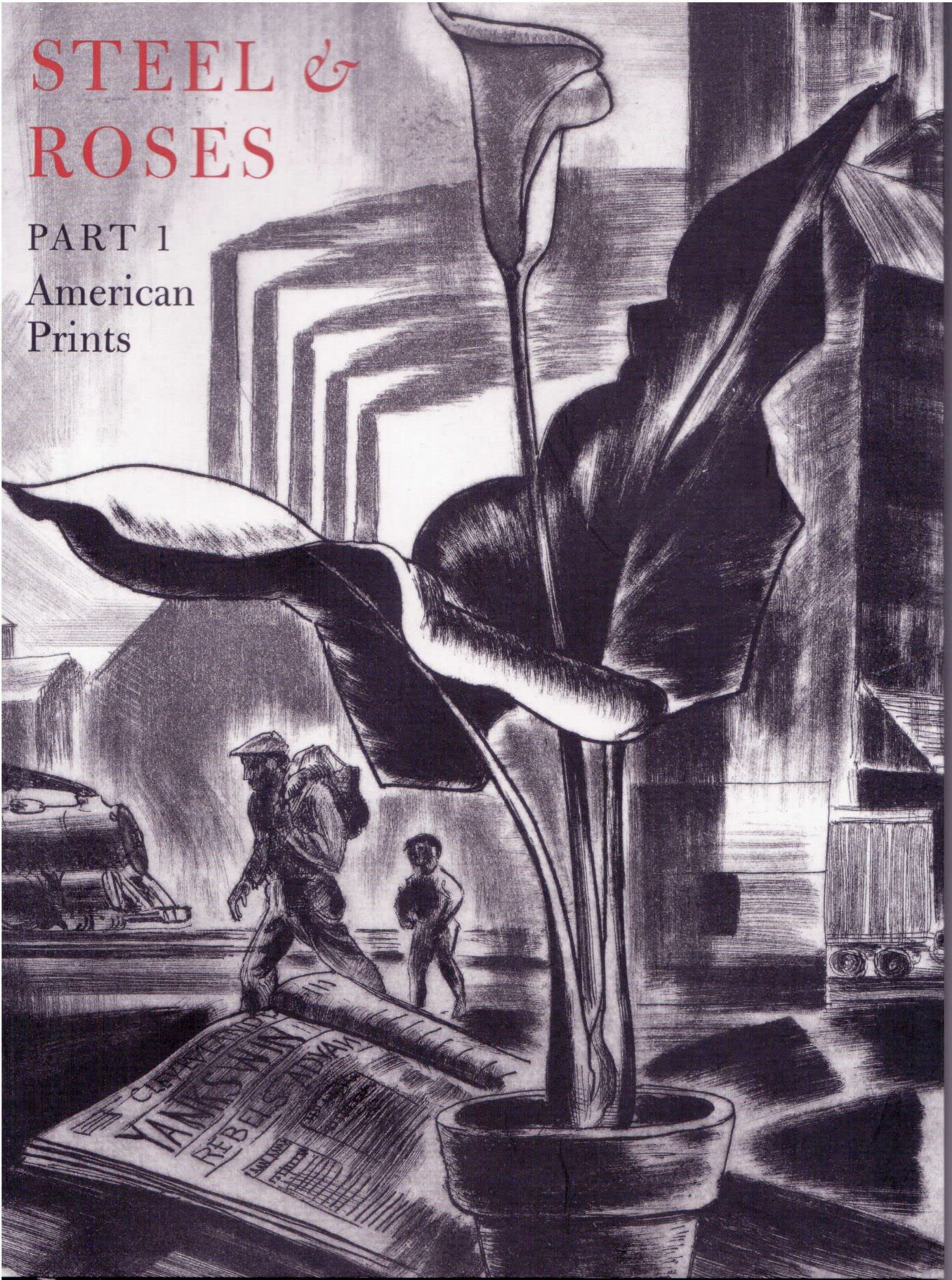 Steel & Roses: American Prints In The Hersh Cohen Collection & Botanical Books In The Fern Cohen Collection: American Prints, Bo,Used