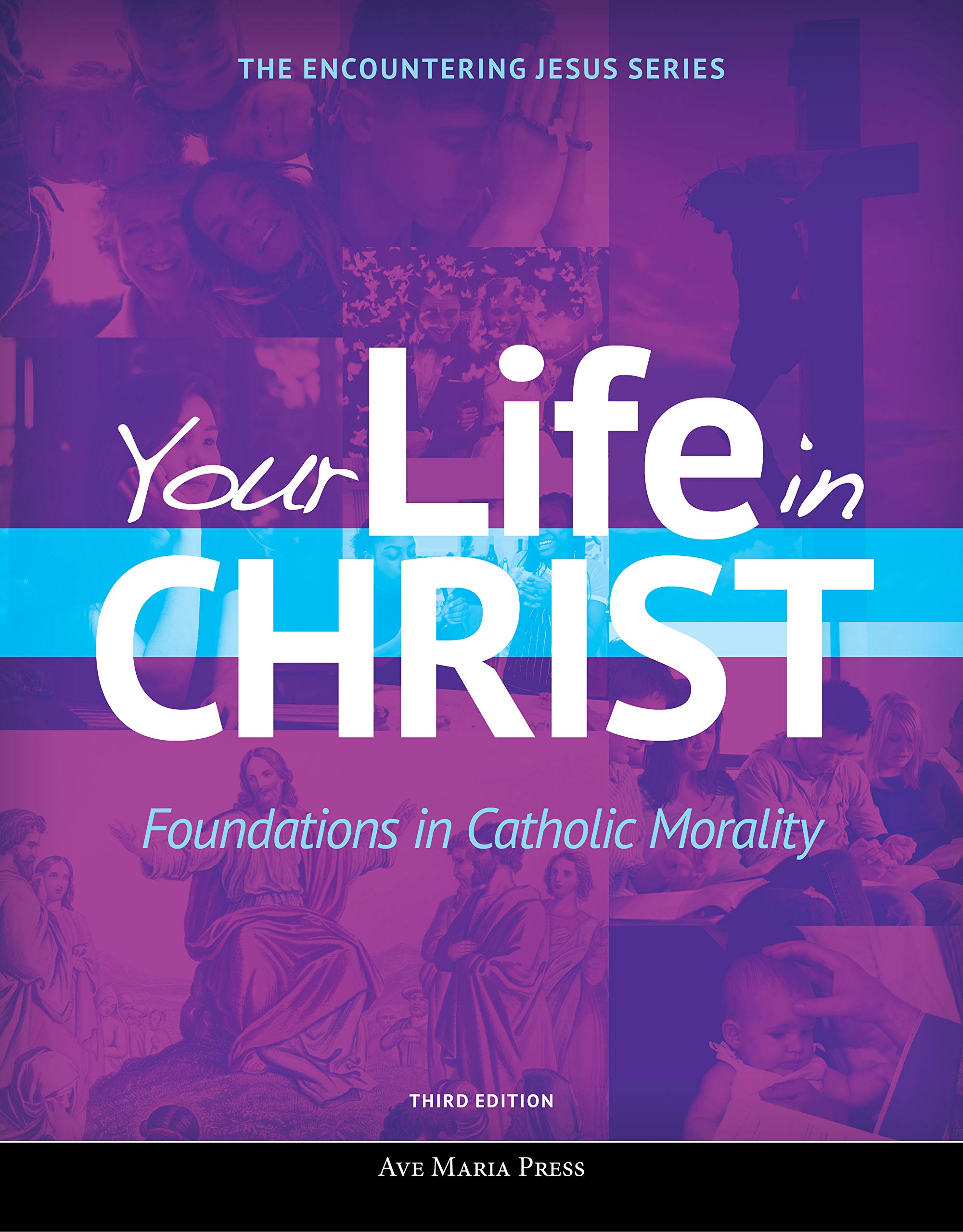 Your Life in Christ (Third Edition) (Encountering Jesus),Used