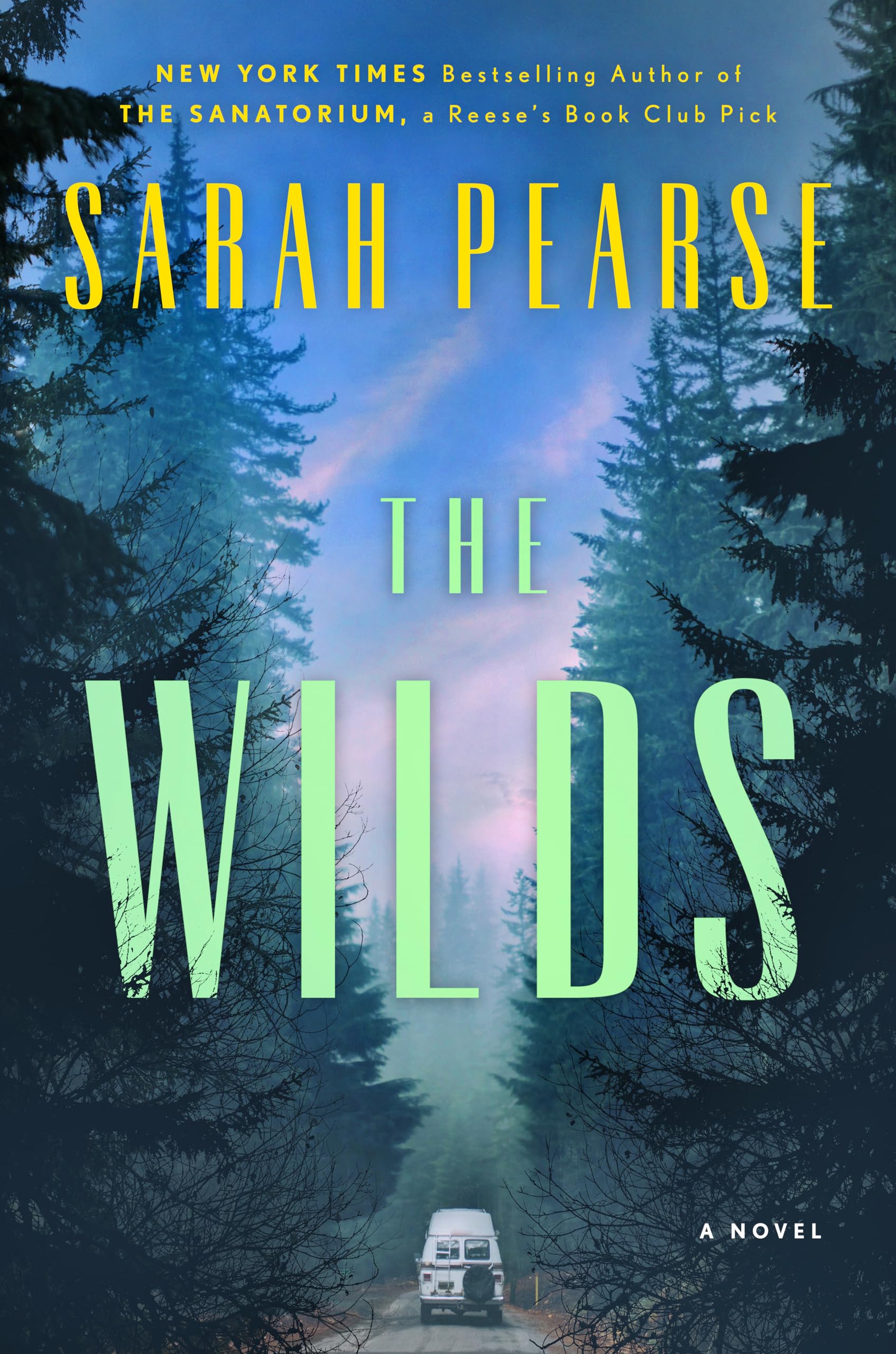 The Wilds: A Novel (Detective Elin Warner Series),Used