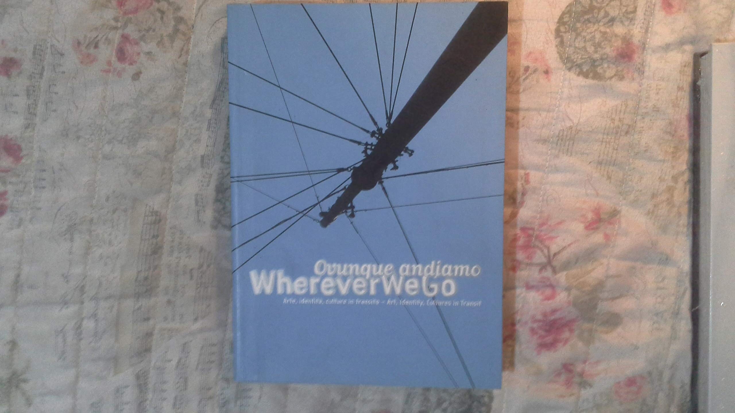 Wherever we go: Art, identity, cultures in transit,Used