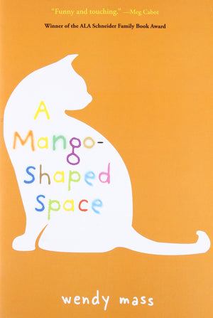 A MangoShaped Space,Used